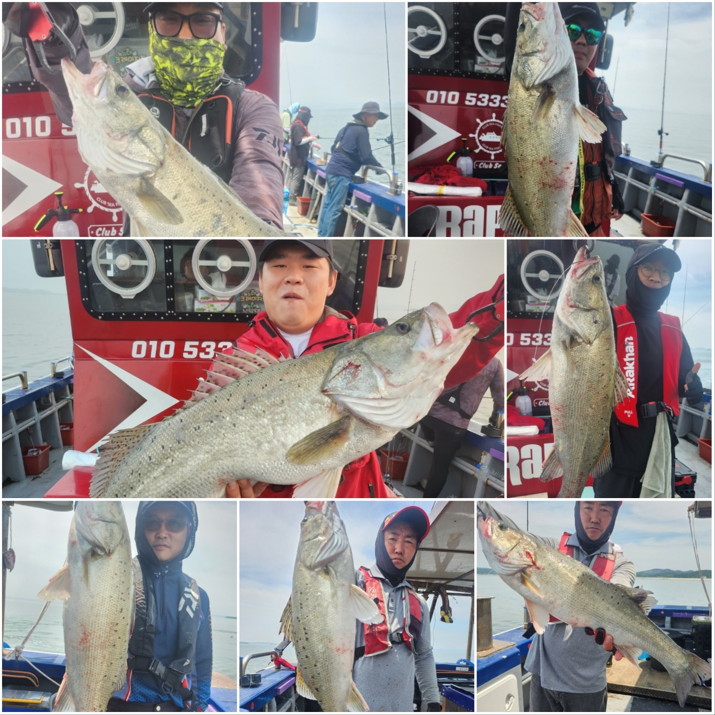 6월25일 뉴대성호 농어외수질 조황