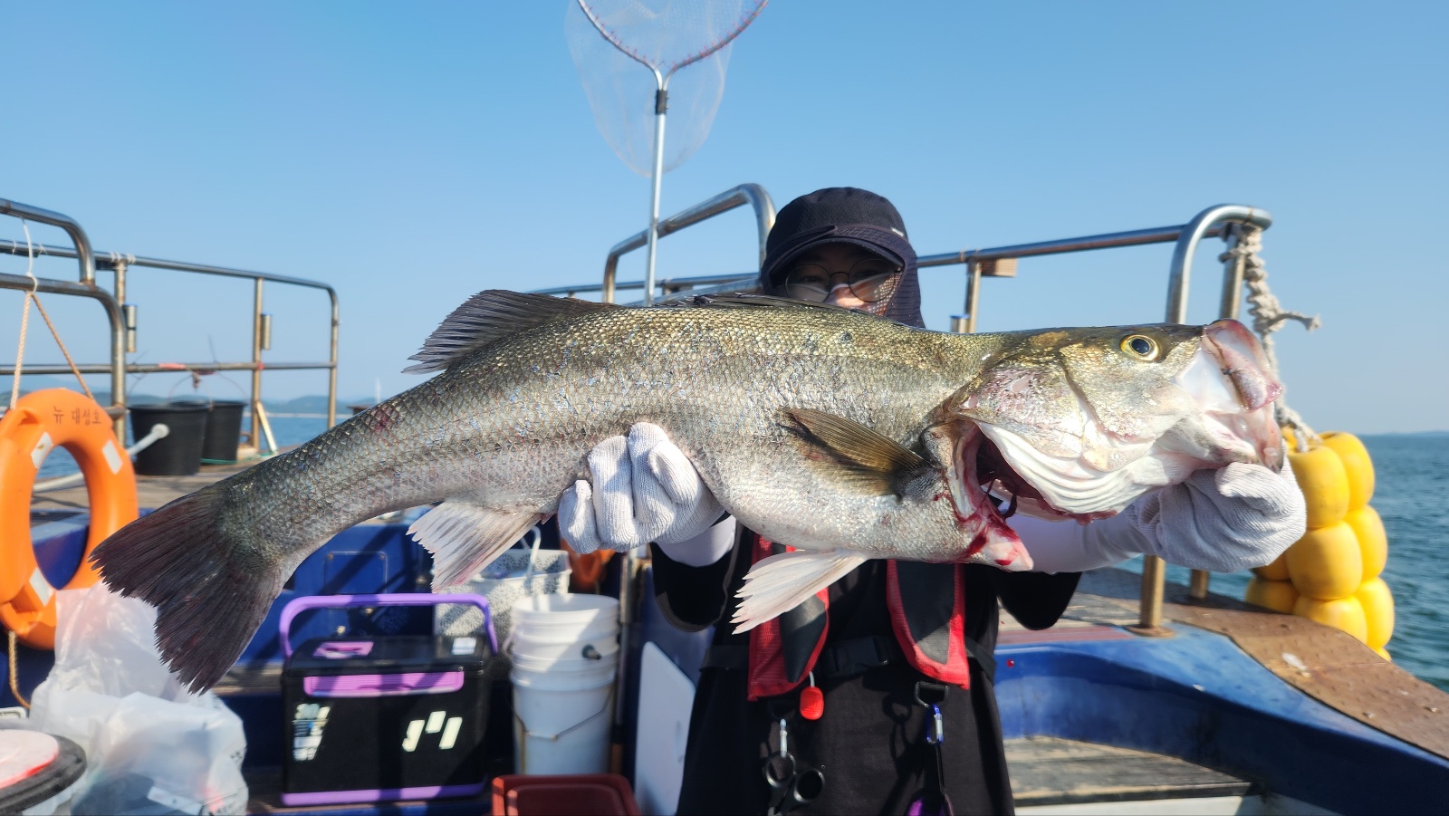 6월18일 뉴대성호 농어외수질 조황