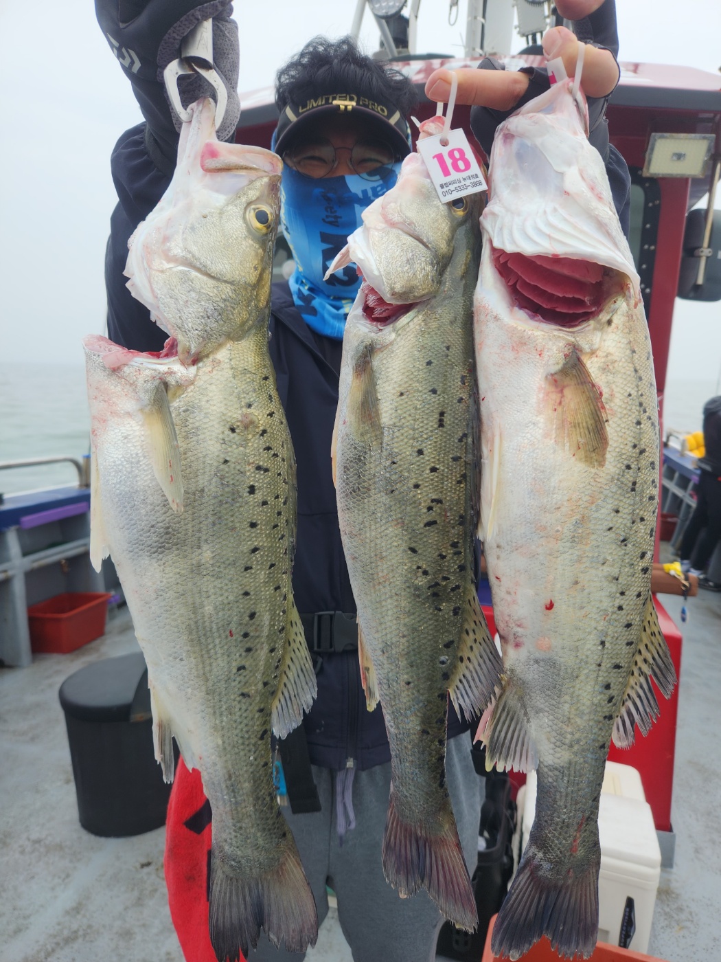 6월1일 뉴대성호 농어외수질 조황