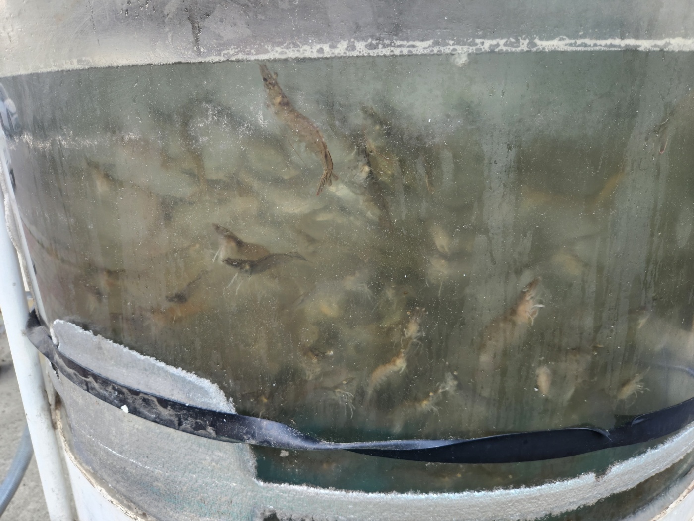 6월 초 외수질 물품입니다.