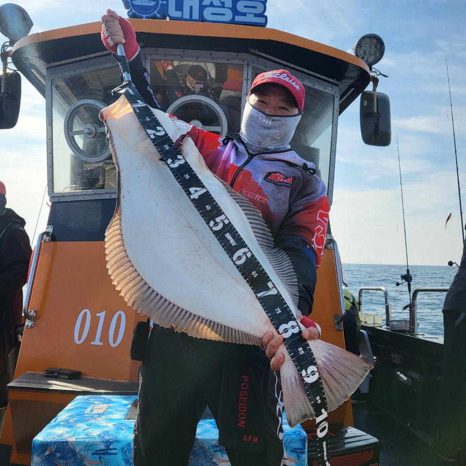 6월4일 대성호실시간 미터광어