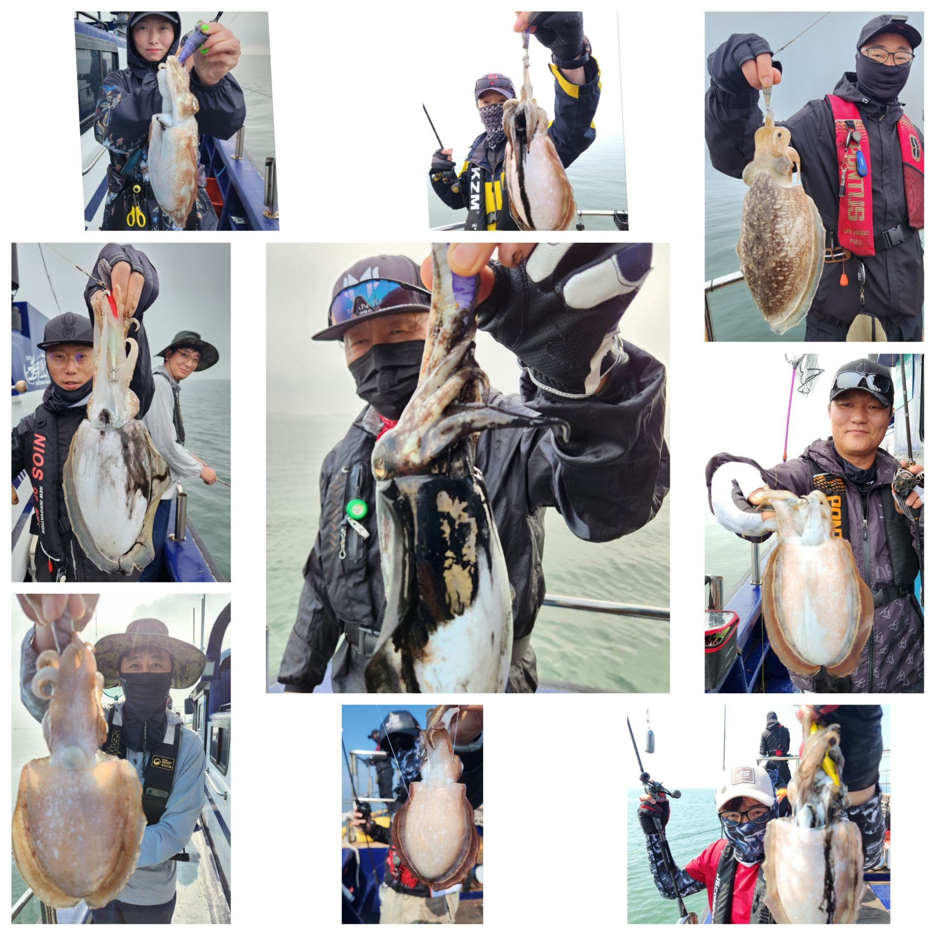 6월14일 블루원호 갑오징어(오전반) 조황