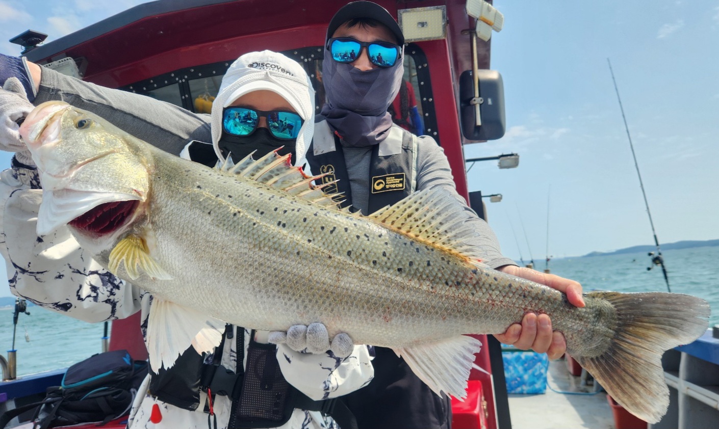 6월12일 뉴대성호 농어외수질 조황