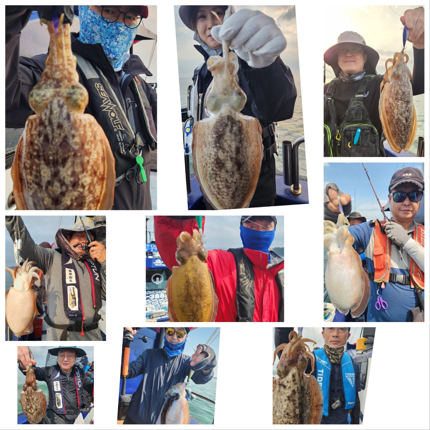 6월 11일 블루원 갑오징어 조황