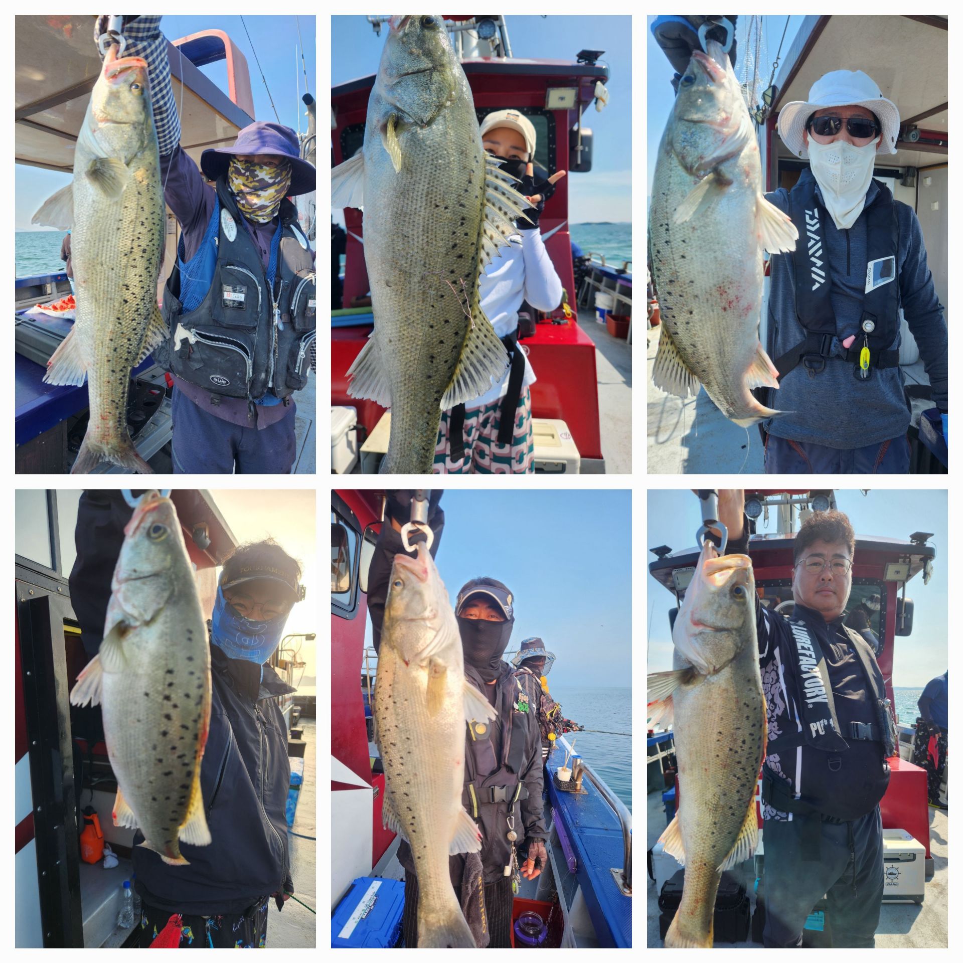 6월16일 뉴대성호 농어외수질 조황