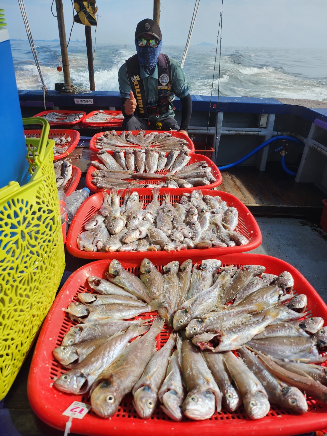 7월29일 뉴대성호 백조기조황