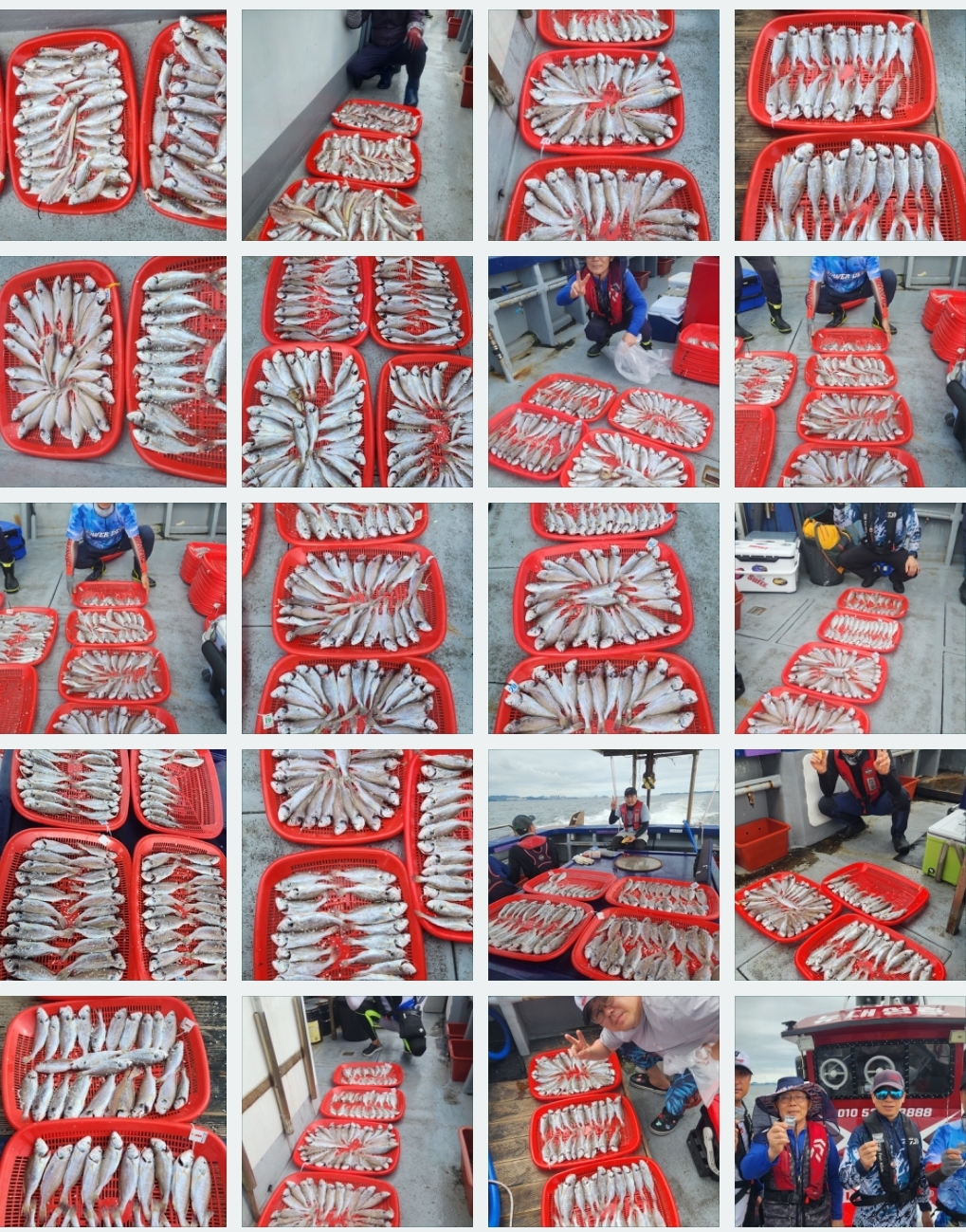 7월24일 뉴대성호 백조기조황