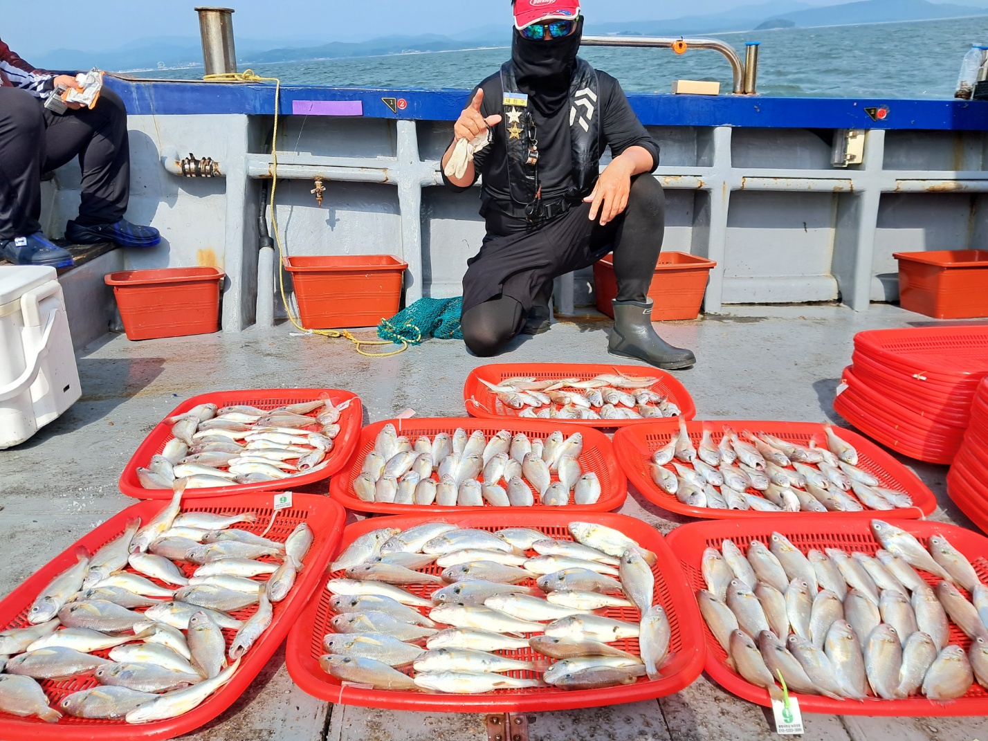 7월2일 뉴대성호 백조기조황