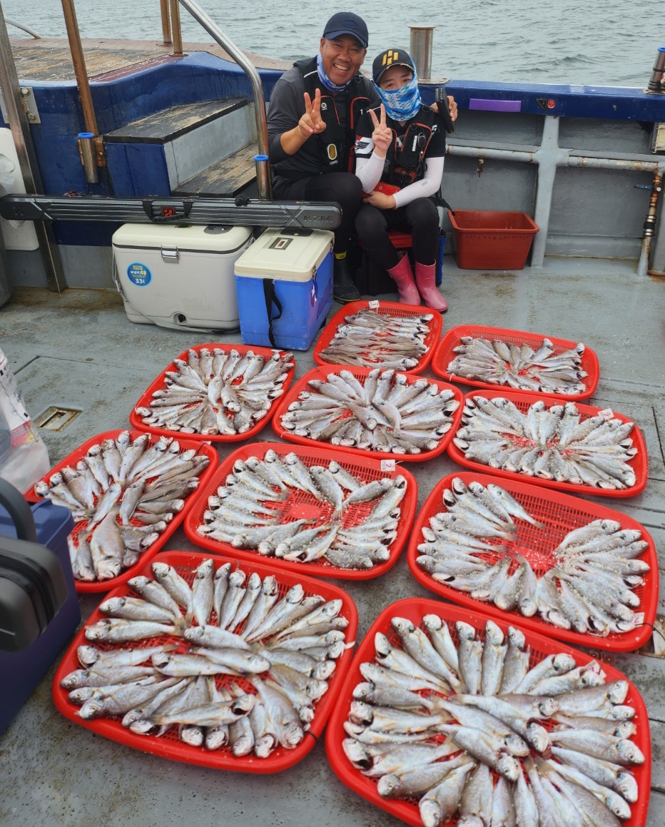 8월 12일 뉴대성호 백조기조황