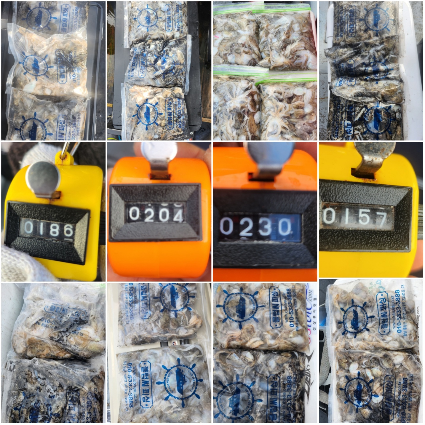 9월 3일 뉴대성호 주꾸미조황