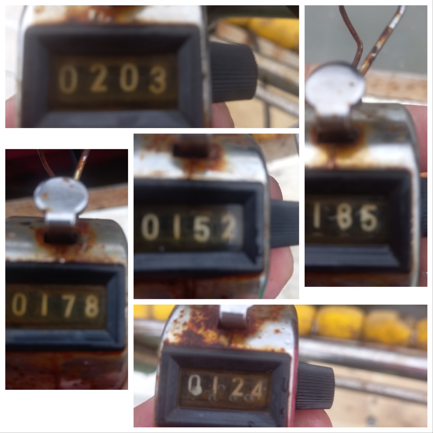 9월26일 뉴궁리호 주꾸미 조황