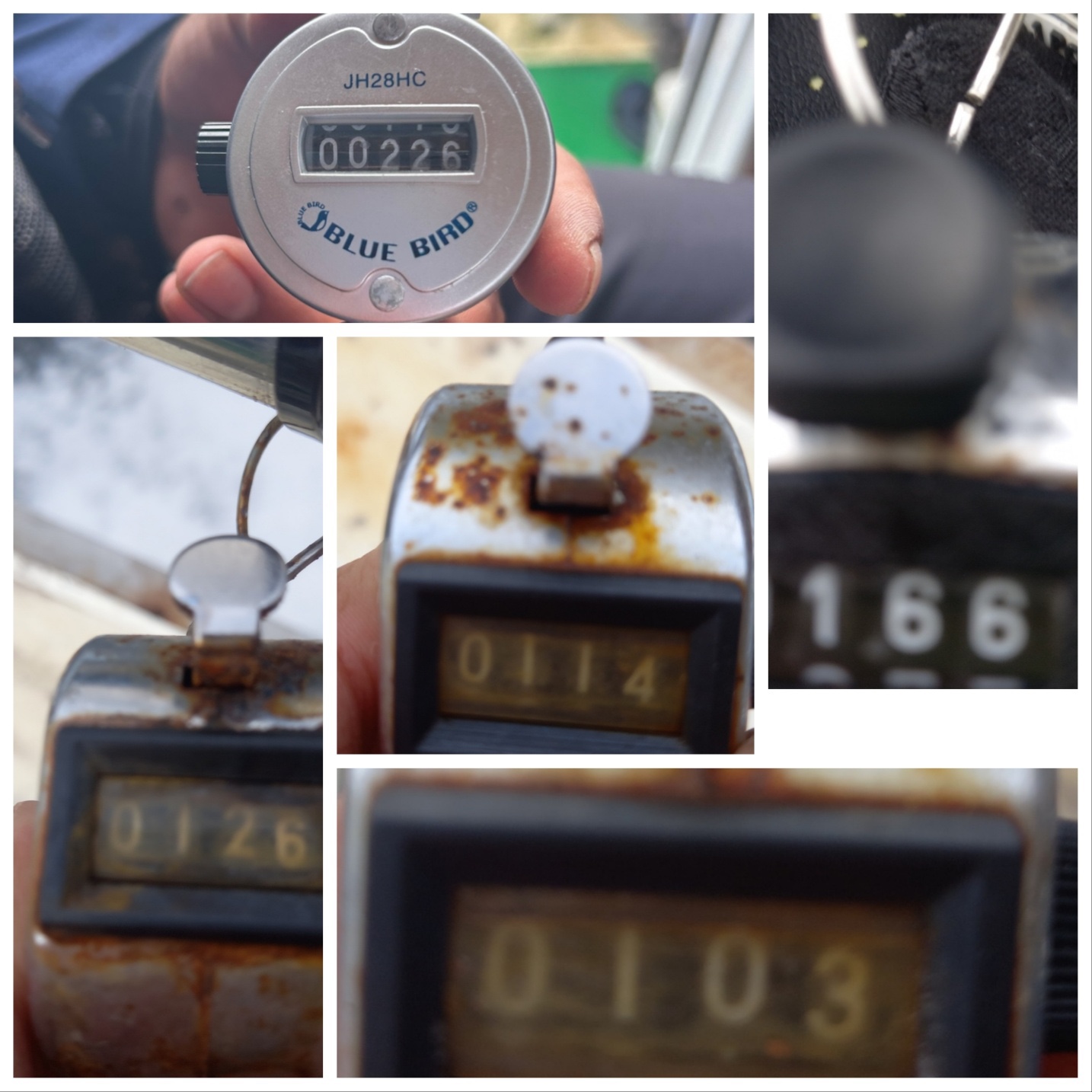 9월24일 뉴궁리호 주꾸미 조황