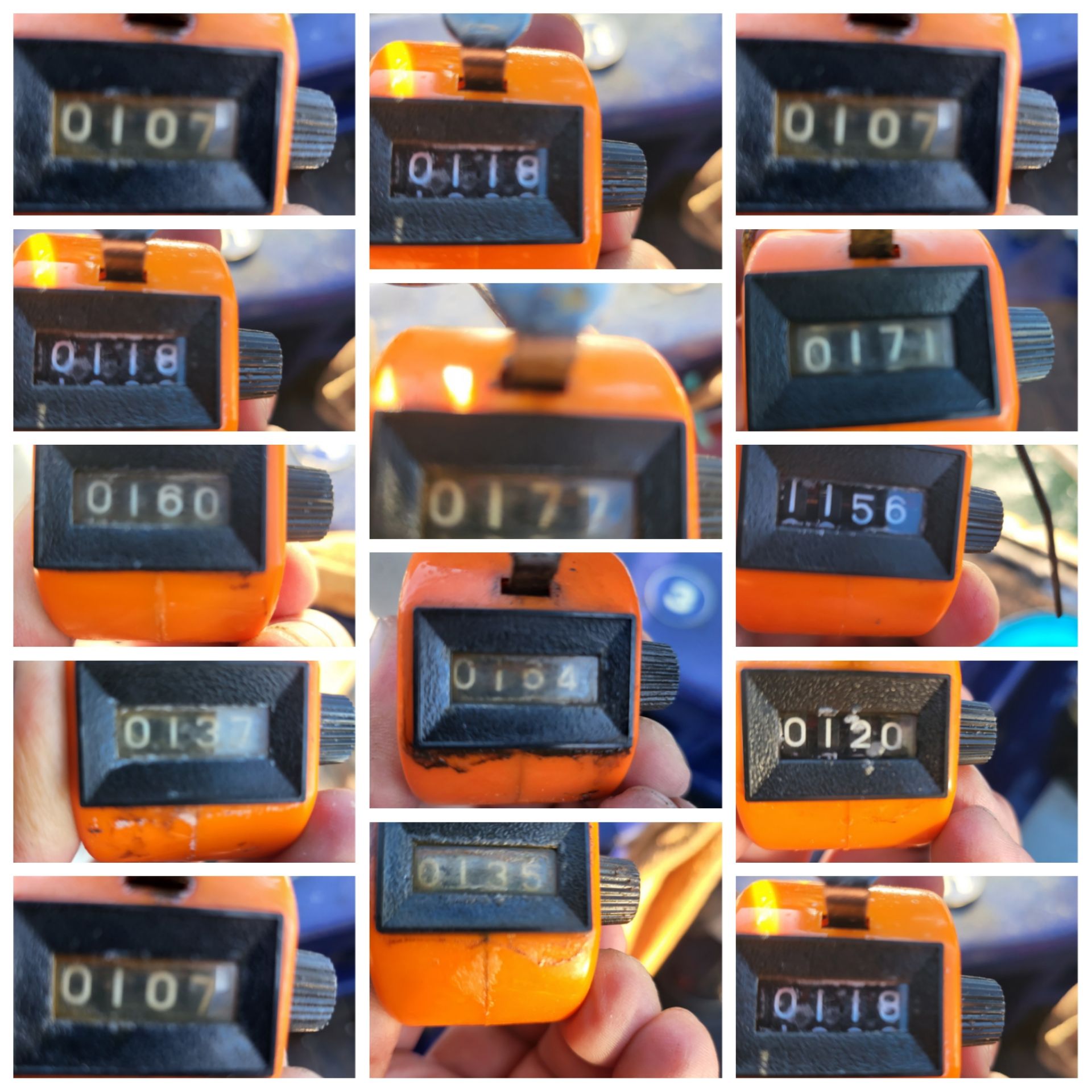 9월22일 블루원 주꾸미 조황