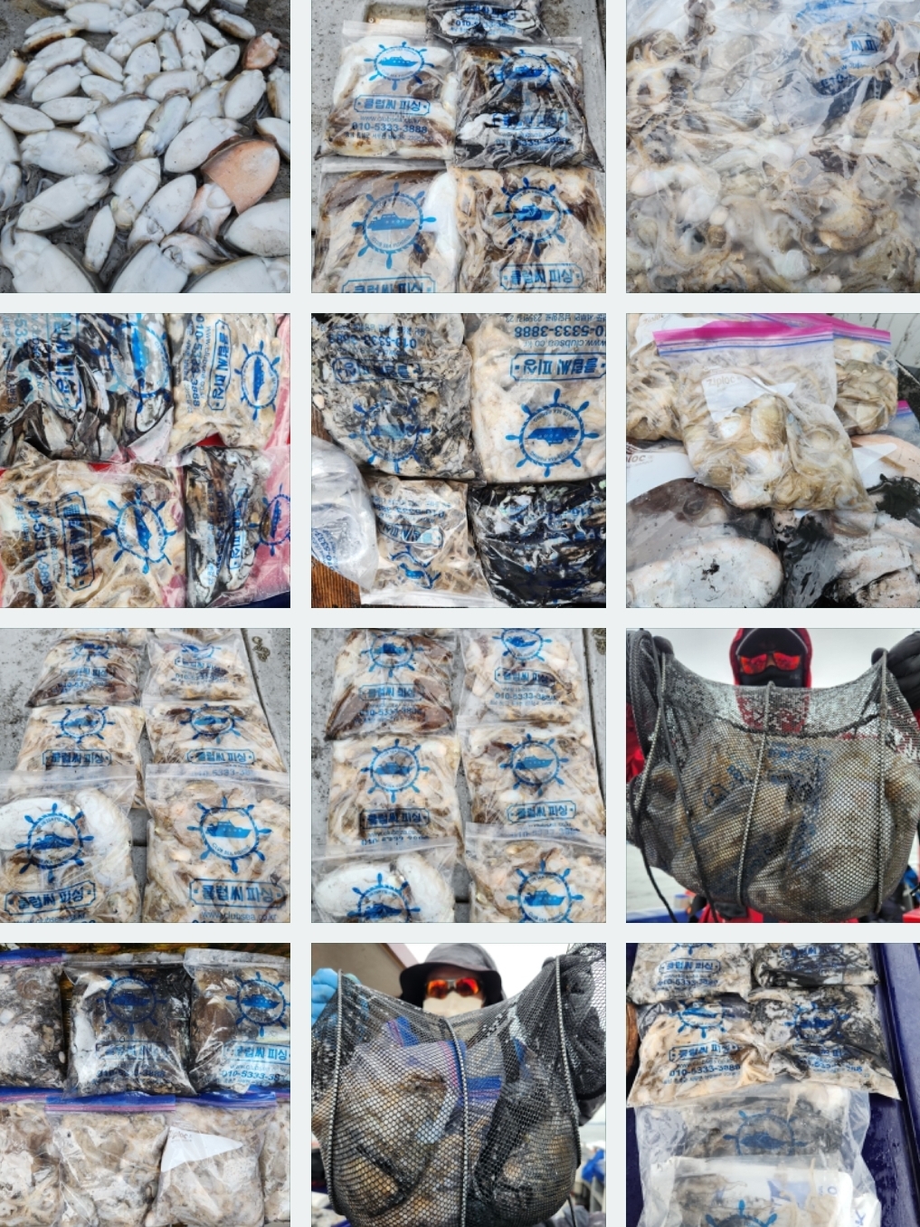 9월 25일 뉴대성호 주꾸미조황