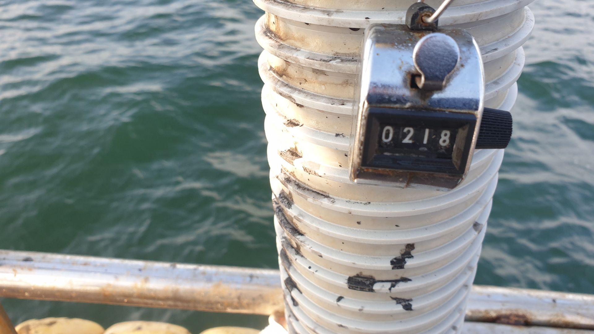 9월9일 대양호 주꾸미 조황