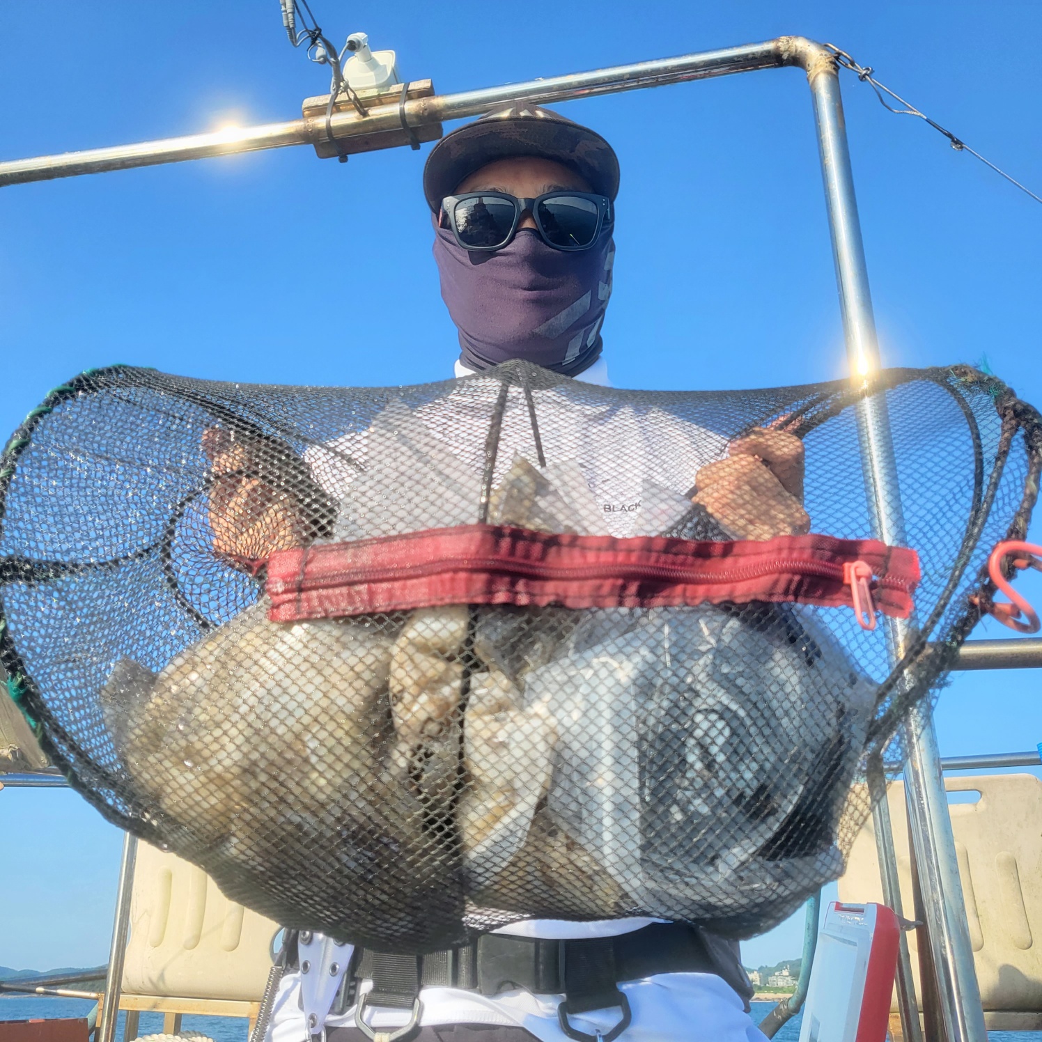 9월7일 마린호 쭈조황입니다