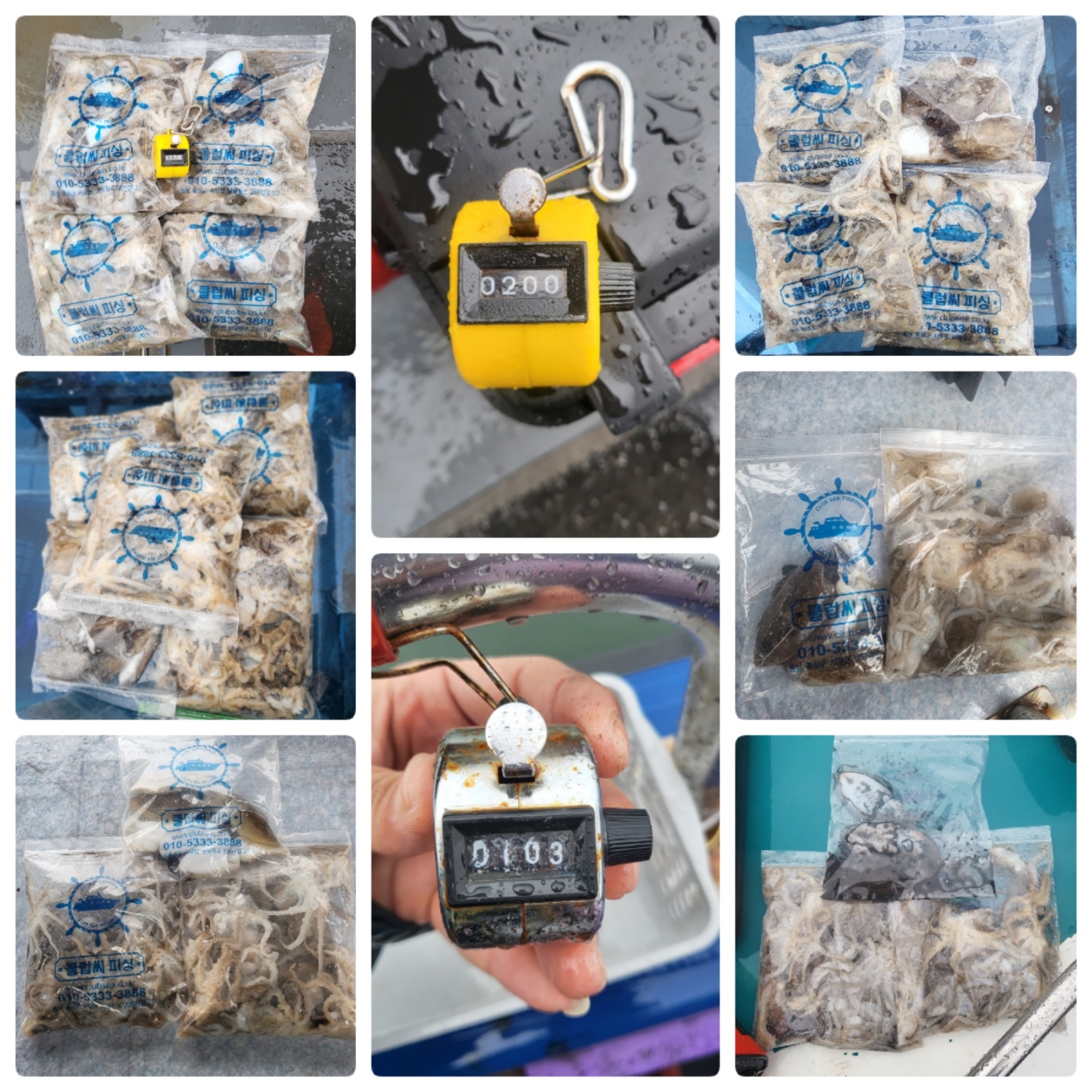 9월13일 마린호 쭈조황입니다