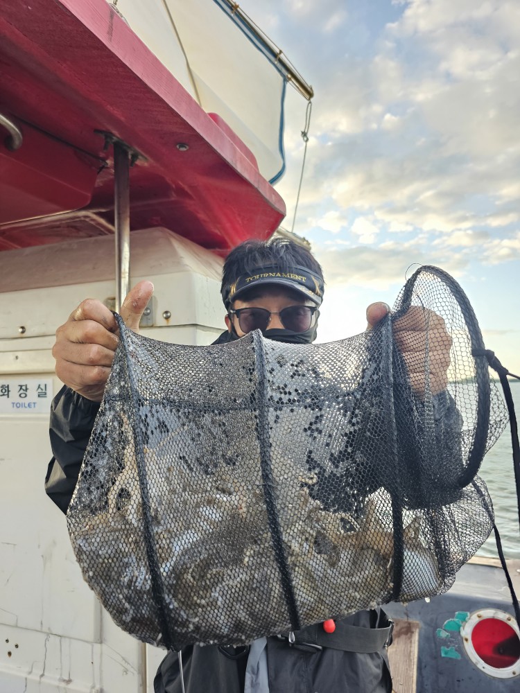 9월17일 대성1호 쭈꾸미조황