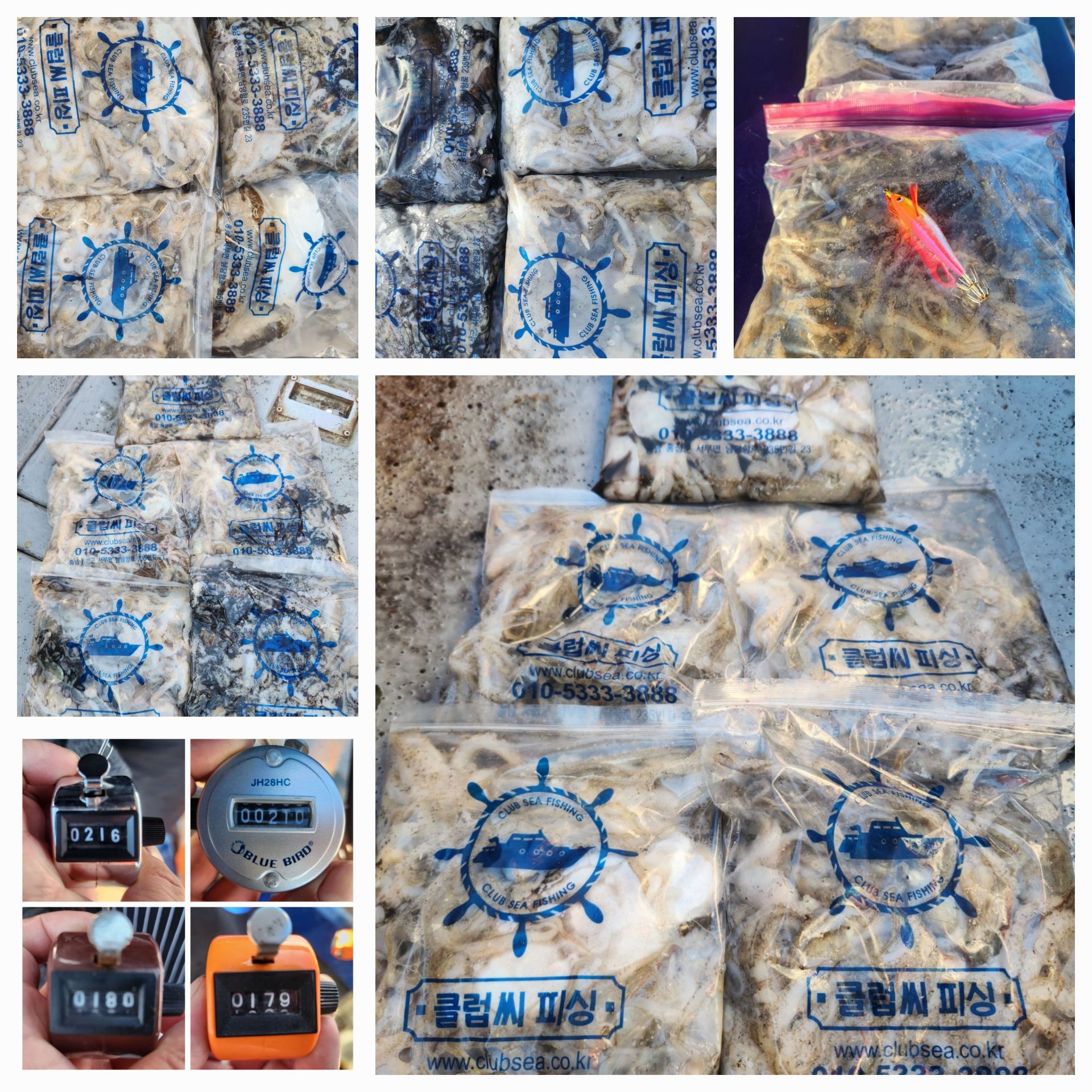 9월 18일 뉴대성호 주꾸미조황