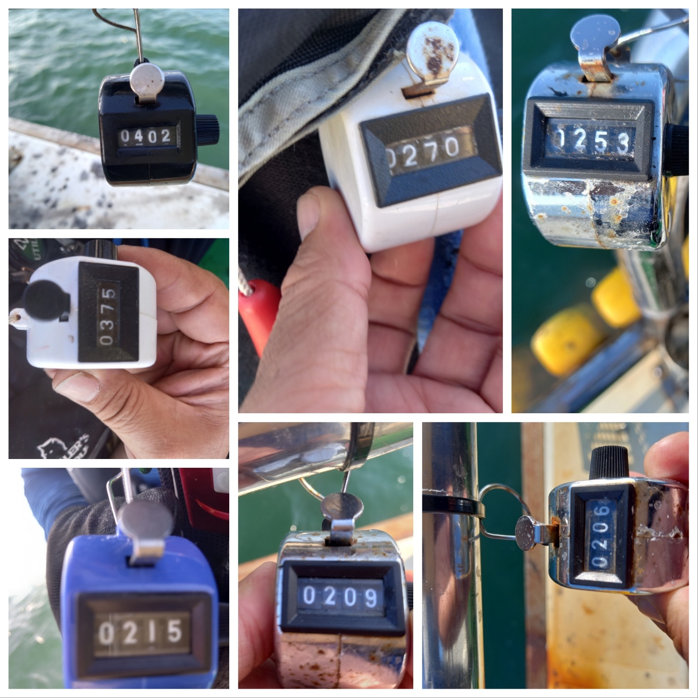 9월7일 뉴궁리호 주꾸미 조황