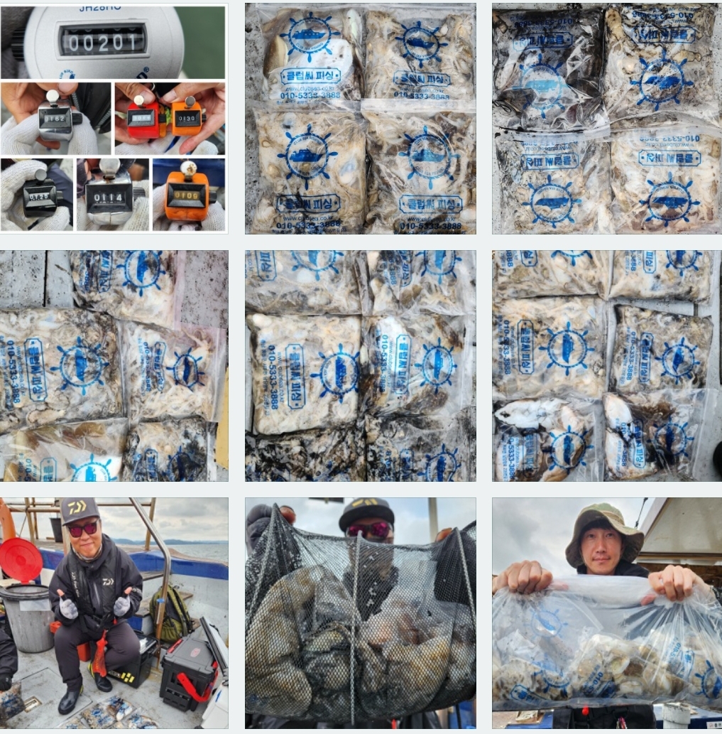 9월 27일 뉴대성호 주꾸미조황