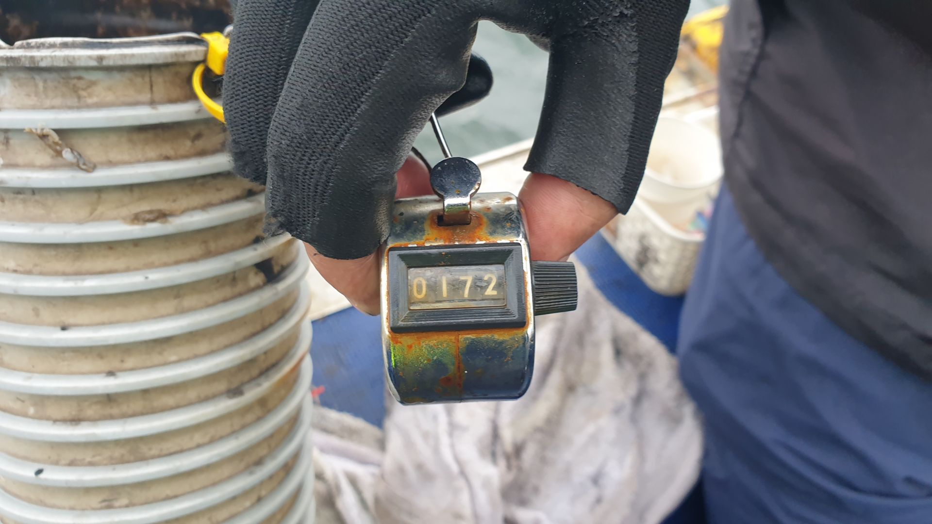 9월26일 대양호 주꾸미 조황