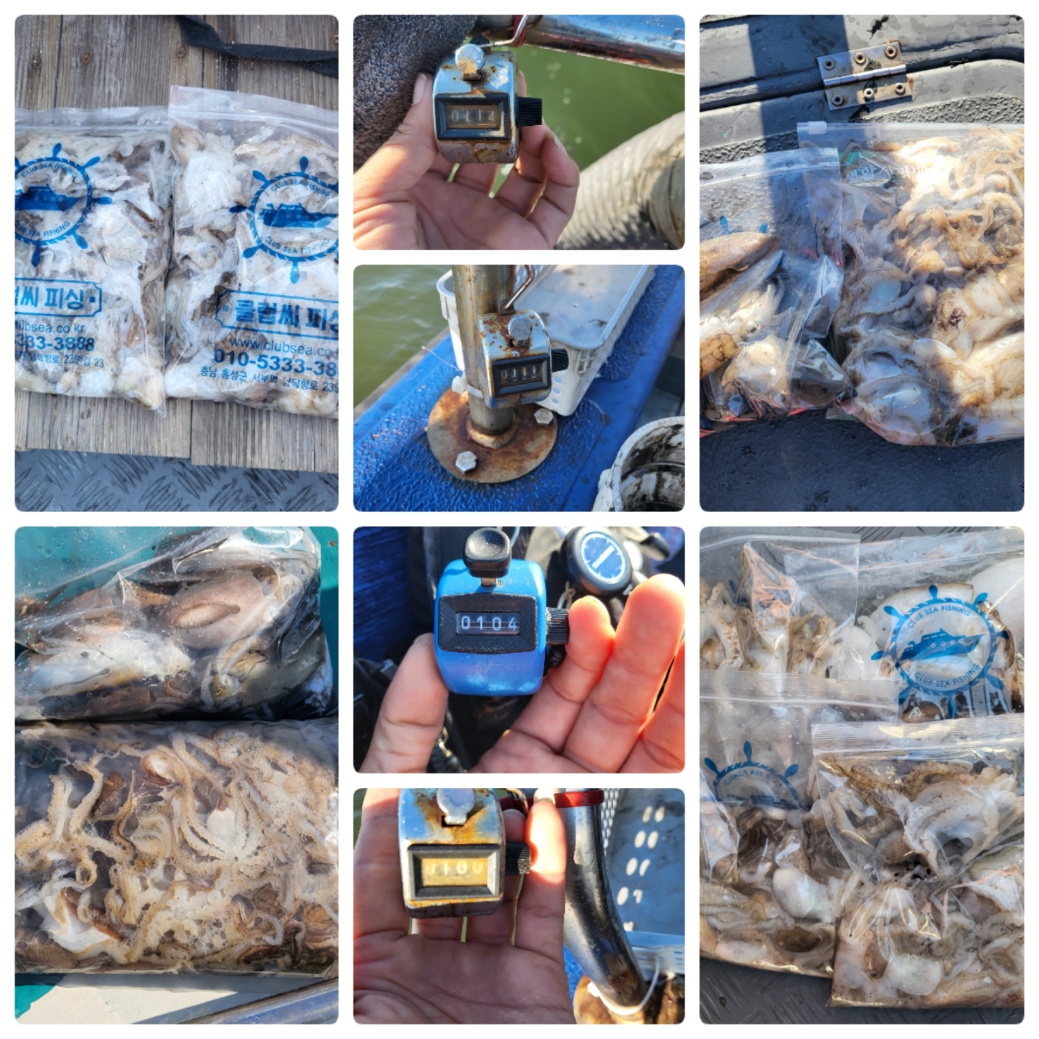 9월22일 마린호 쭈조황입니다