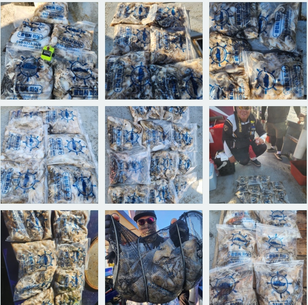 9월 7일 뉴대성호 주꾸미조황