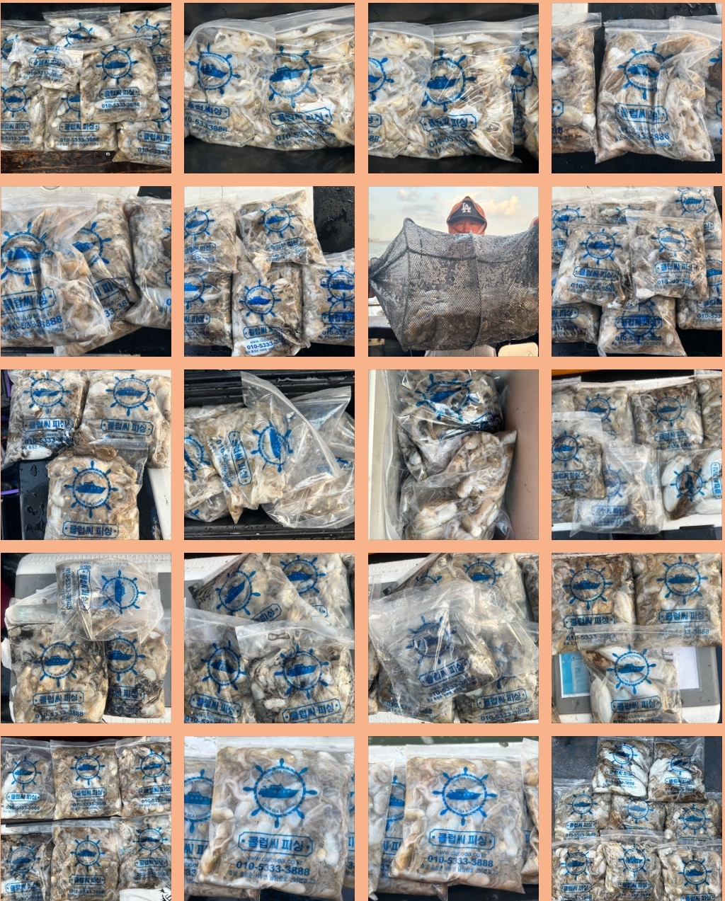 9월 6일 대성호 주꾸미조황입니다