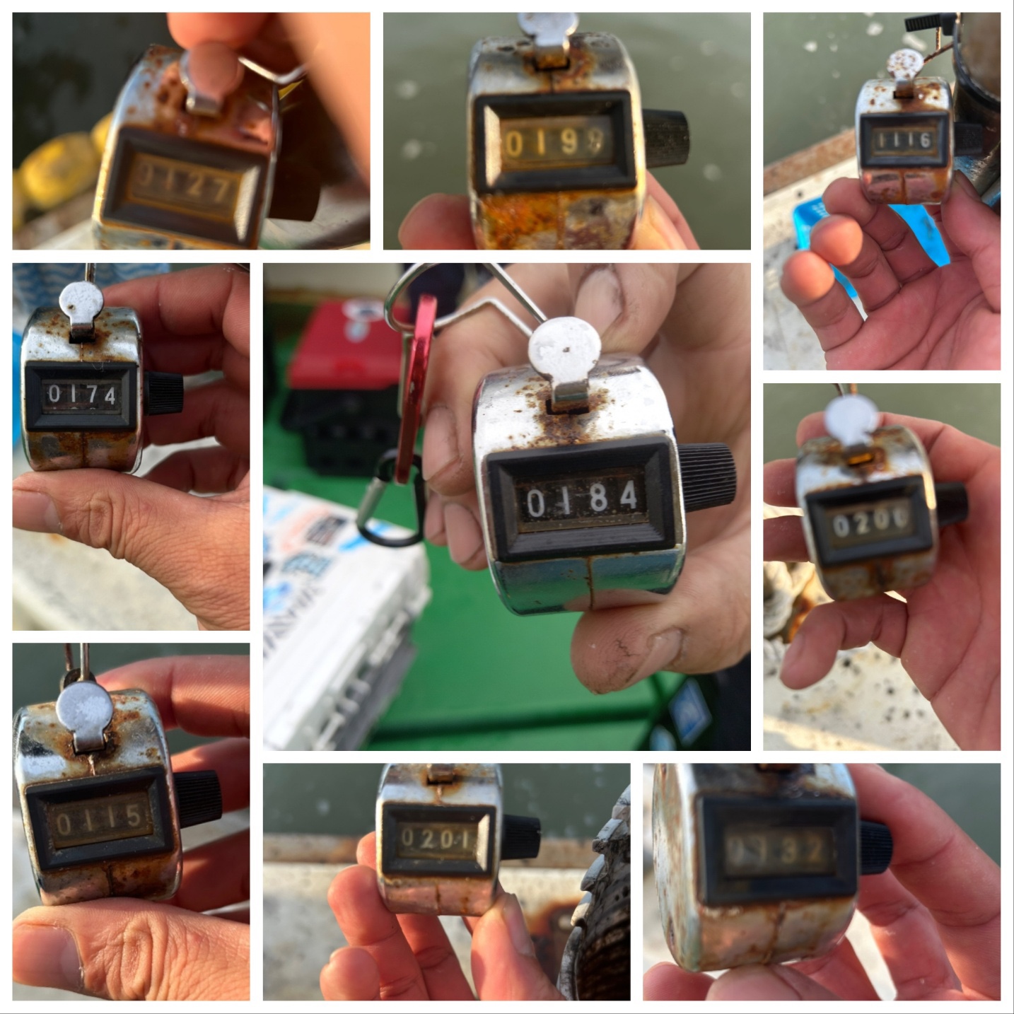 9월23일 뉴궁리호 주꾸미 조황