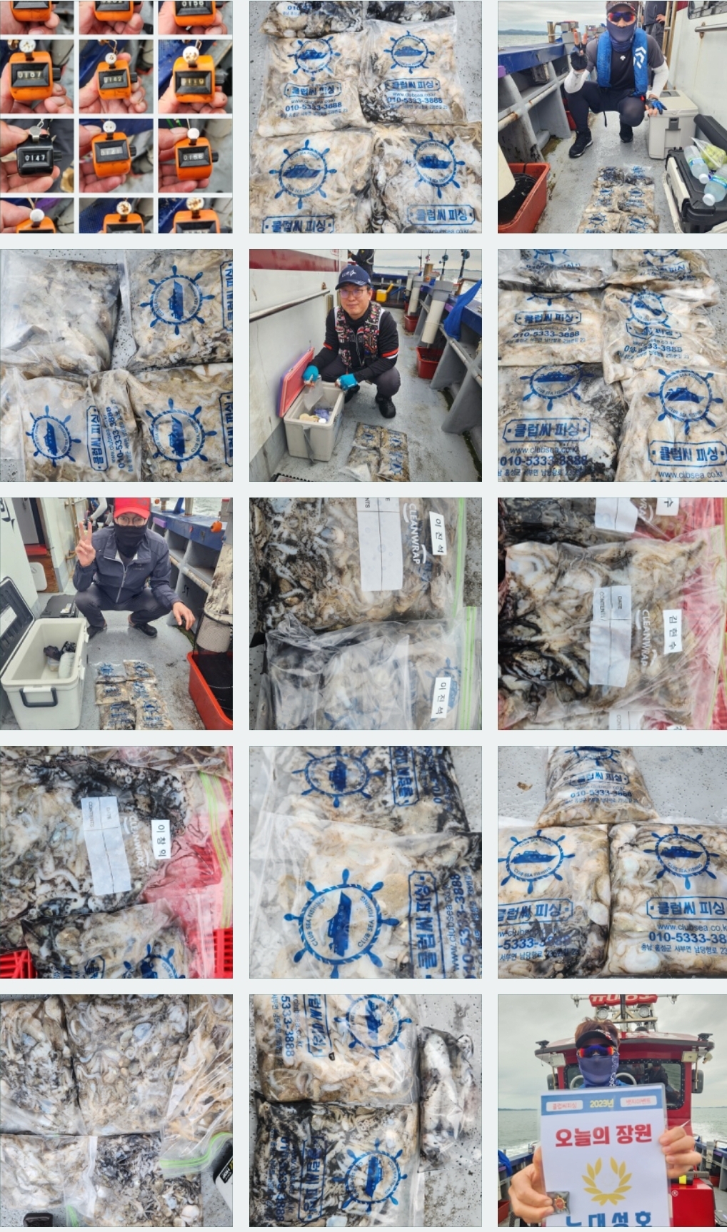 9월 15일 뉴대성호 주꾸미조황