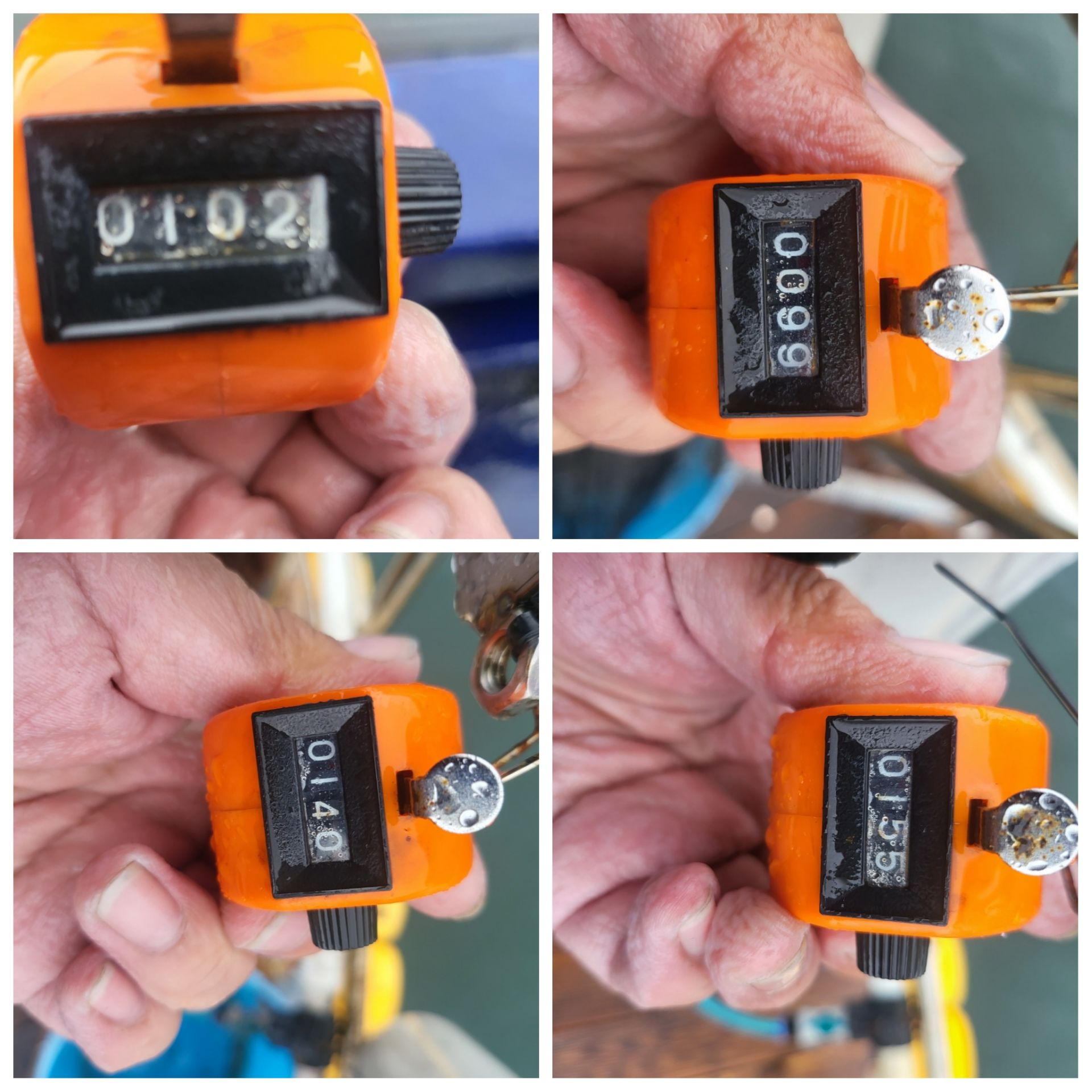 9월13일 블루원 주꾸미 조황