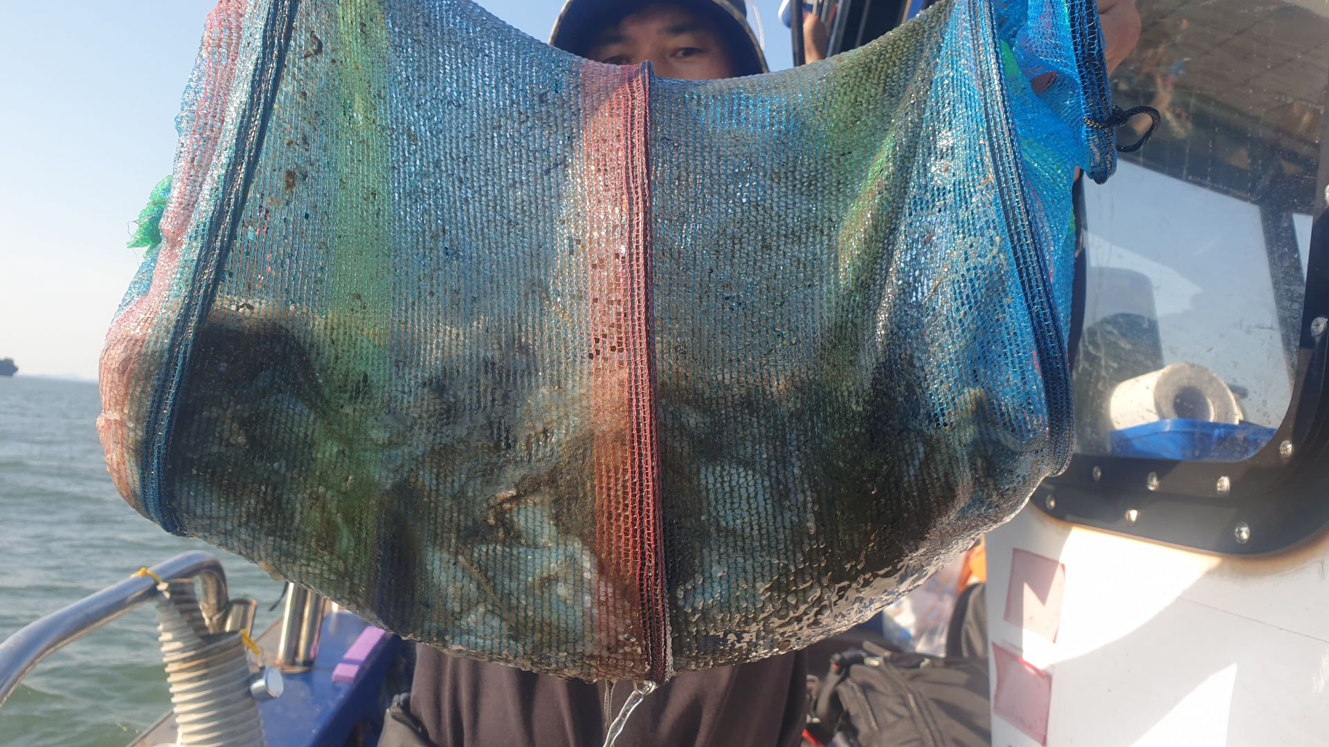 9월1일 대양호 주꾸미 조황