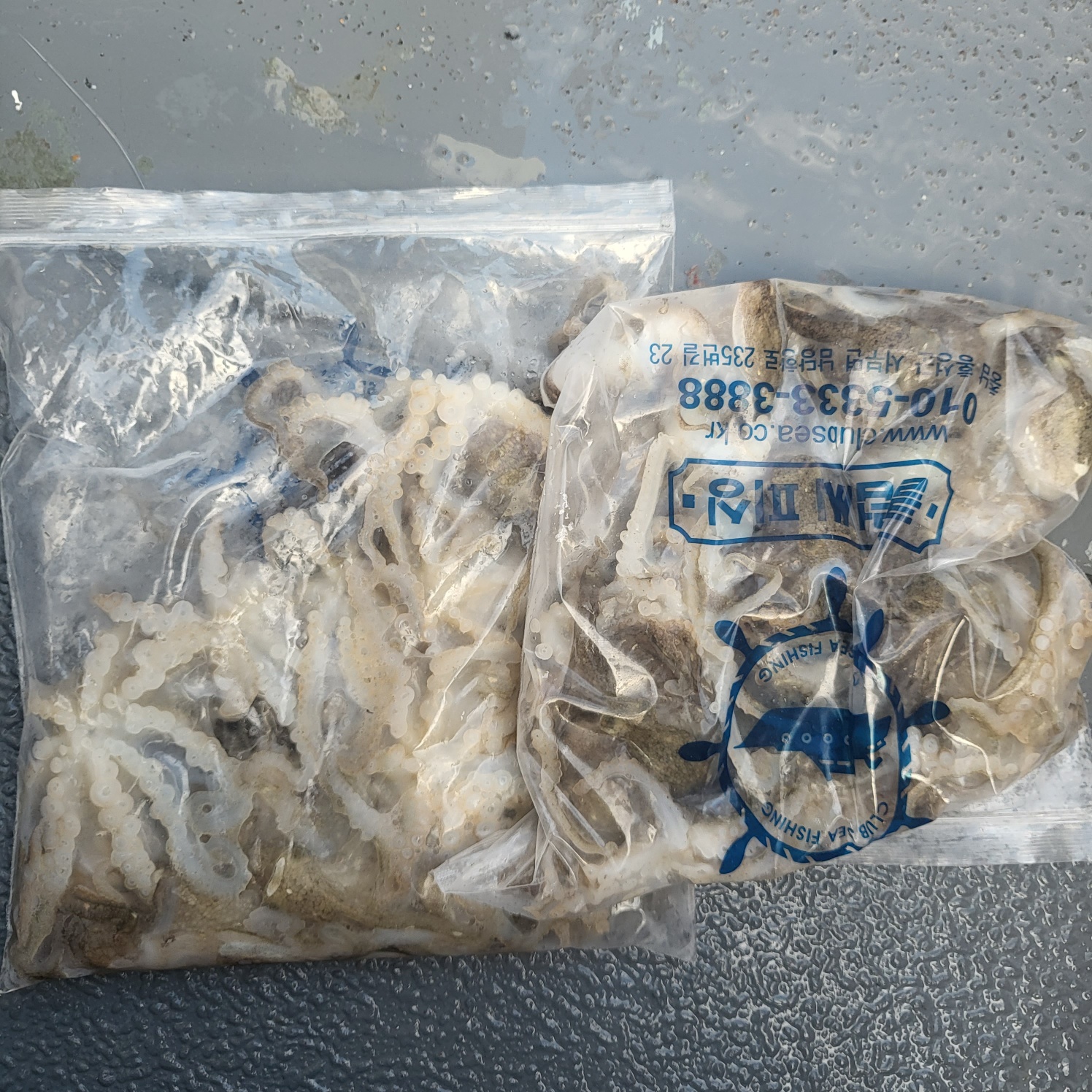 9월3일 마린호 쭈조황입니다