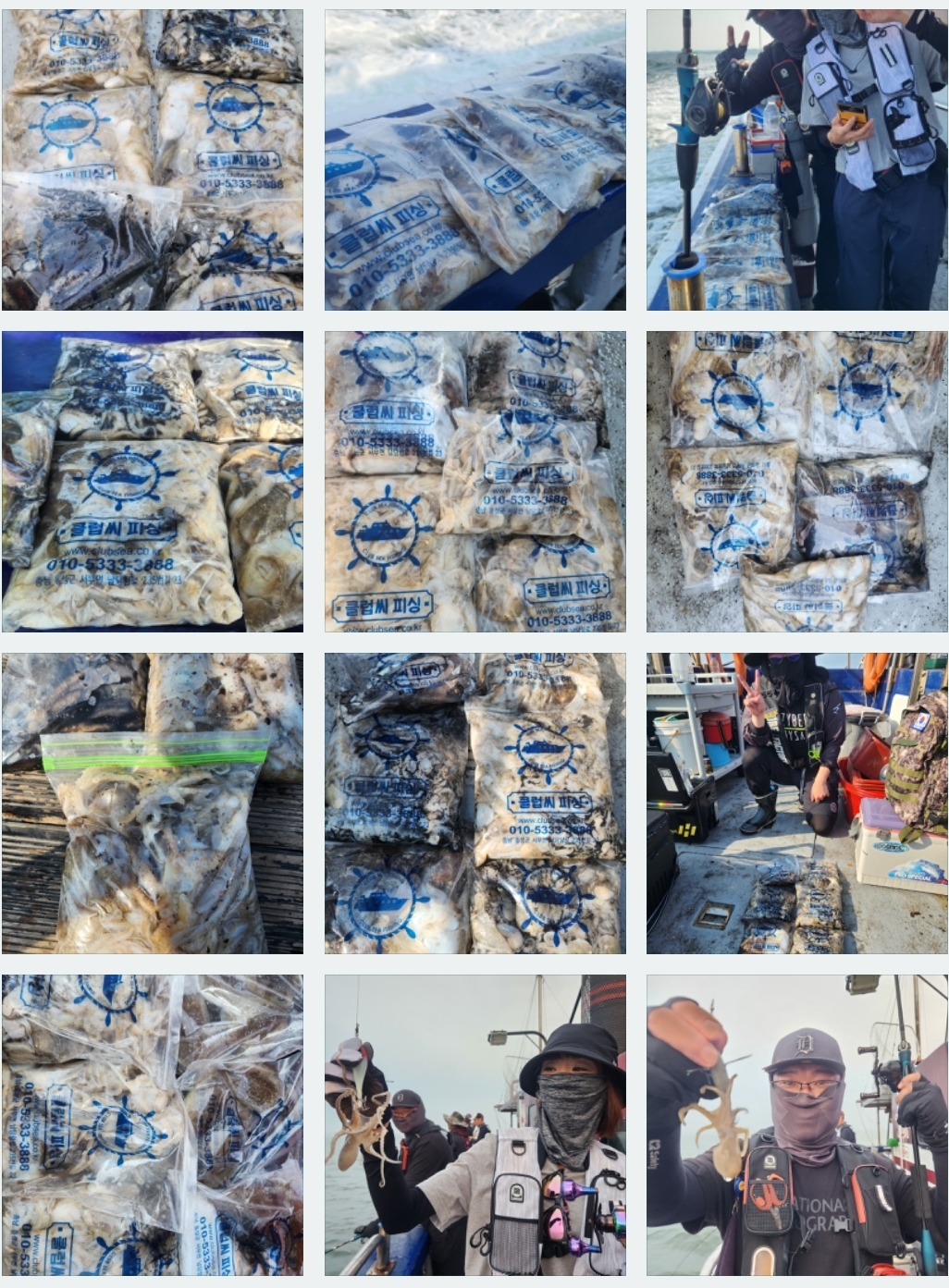 9월 12일 뉴대성호 주꾸미조황