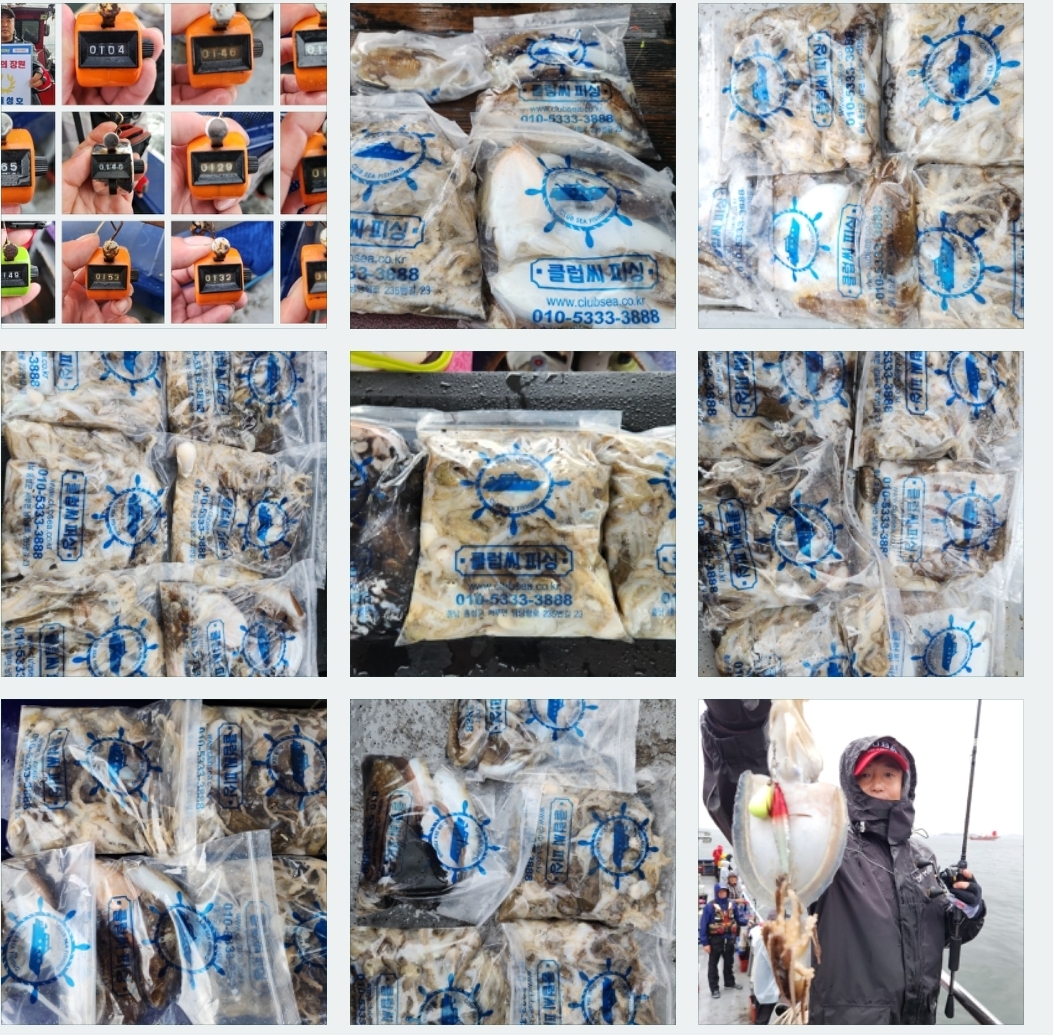 9월 26일 뉴대성호 주꾸미조황