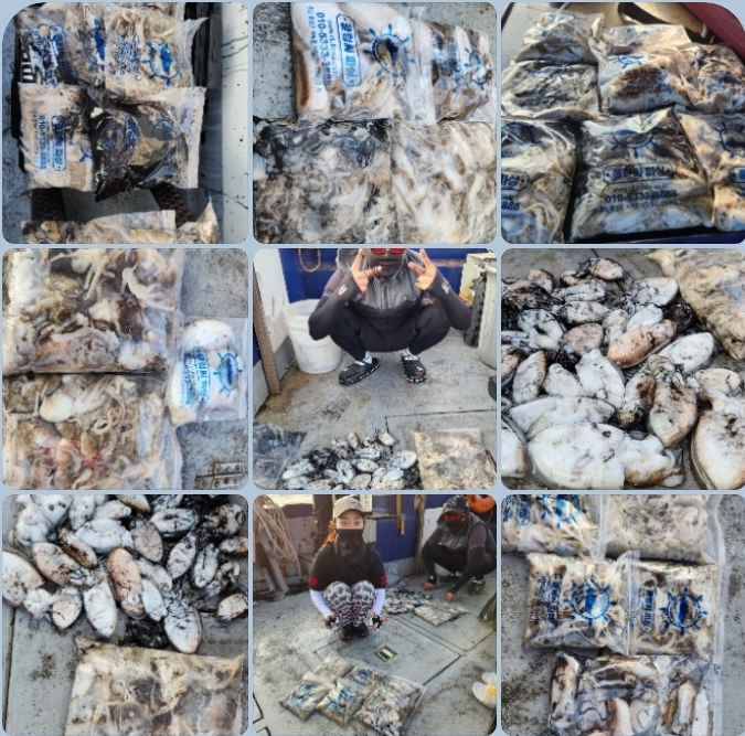 9월 28일 뉴대성호 주꾸미조황