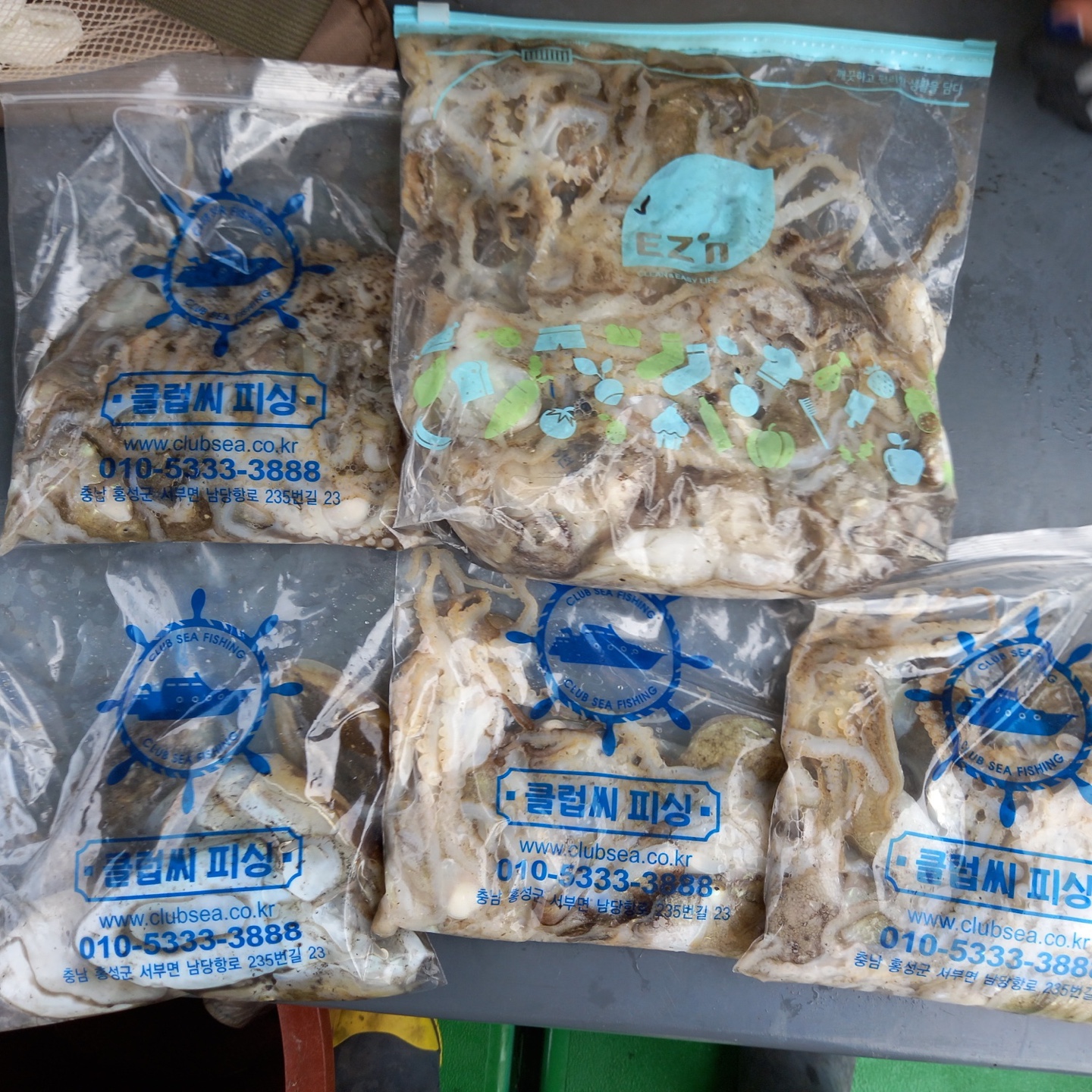 9월27일 뉴궁리호 주꾸미 조황