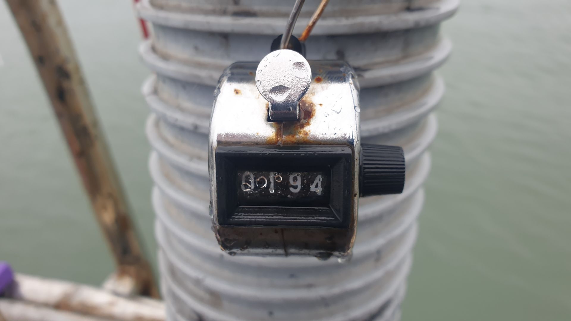 9월13일 대양호 주꾸미 조황