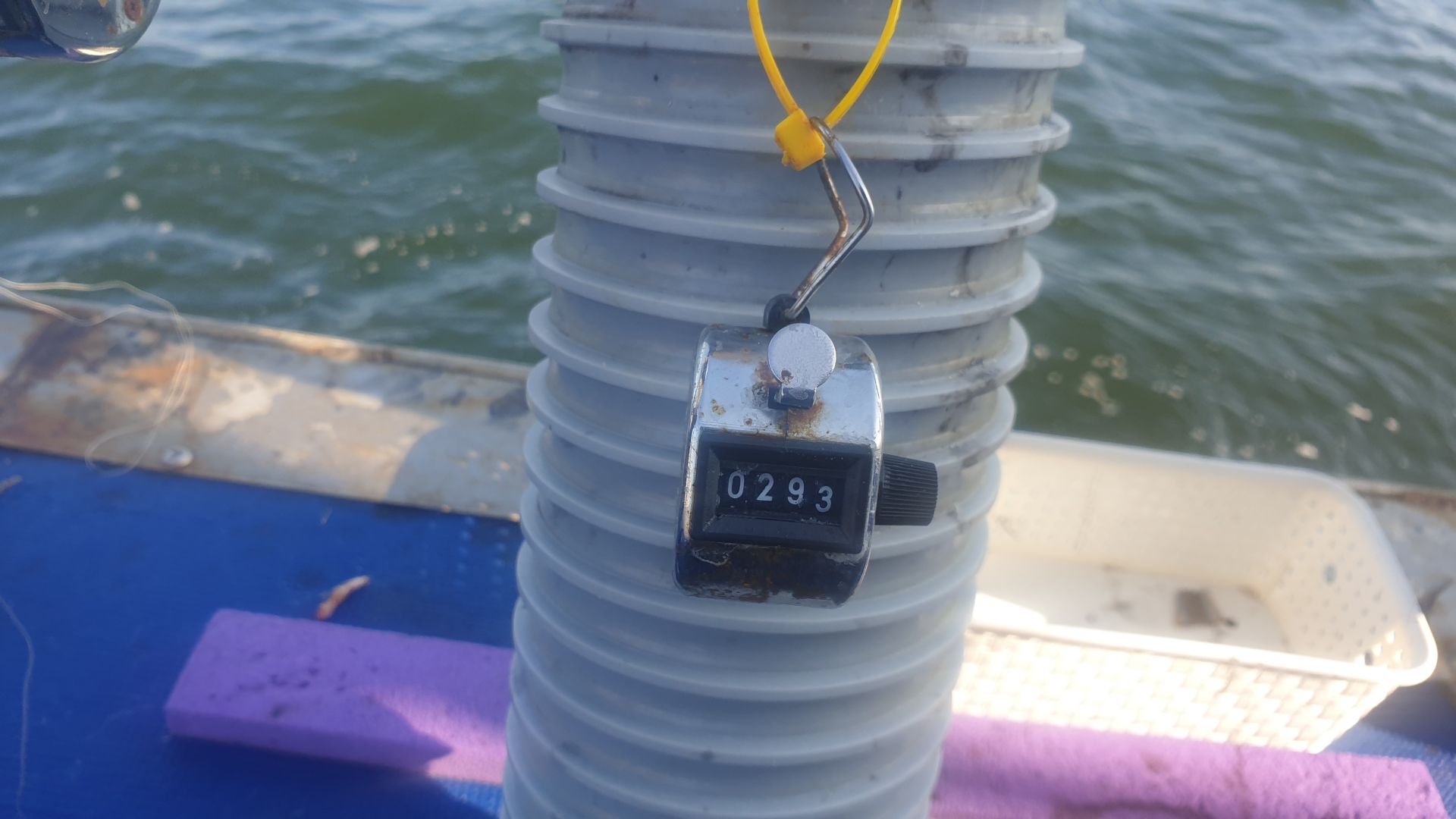 9월7일  대양호 주꾸미조황