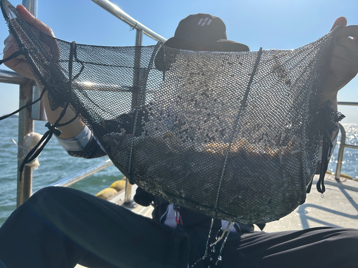 9월1일 뉴궁리호 주꾸미 조황