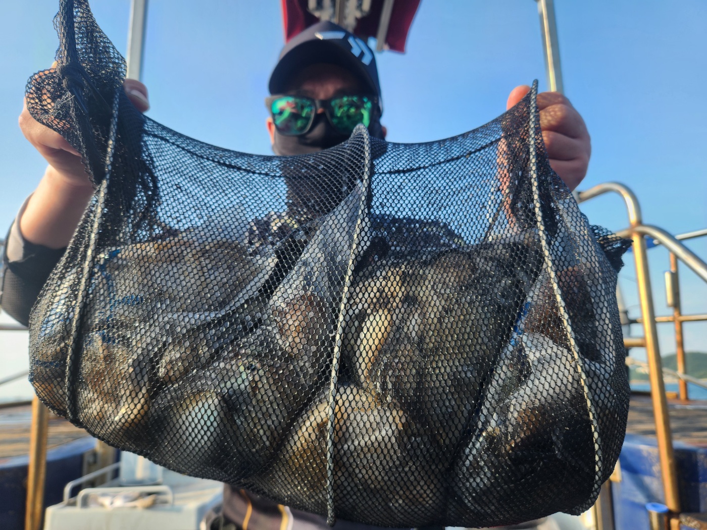 9월 11일 뉴대성호 주꾸미조황