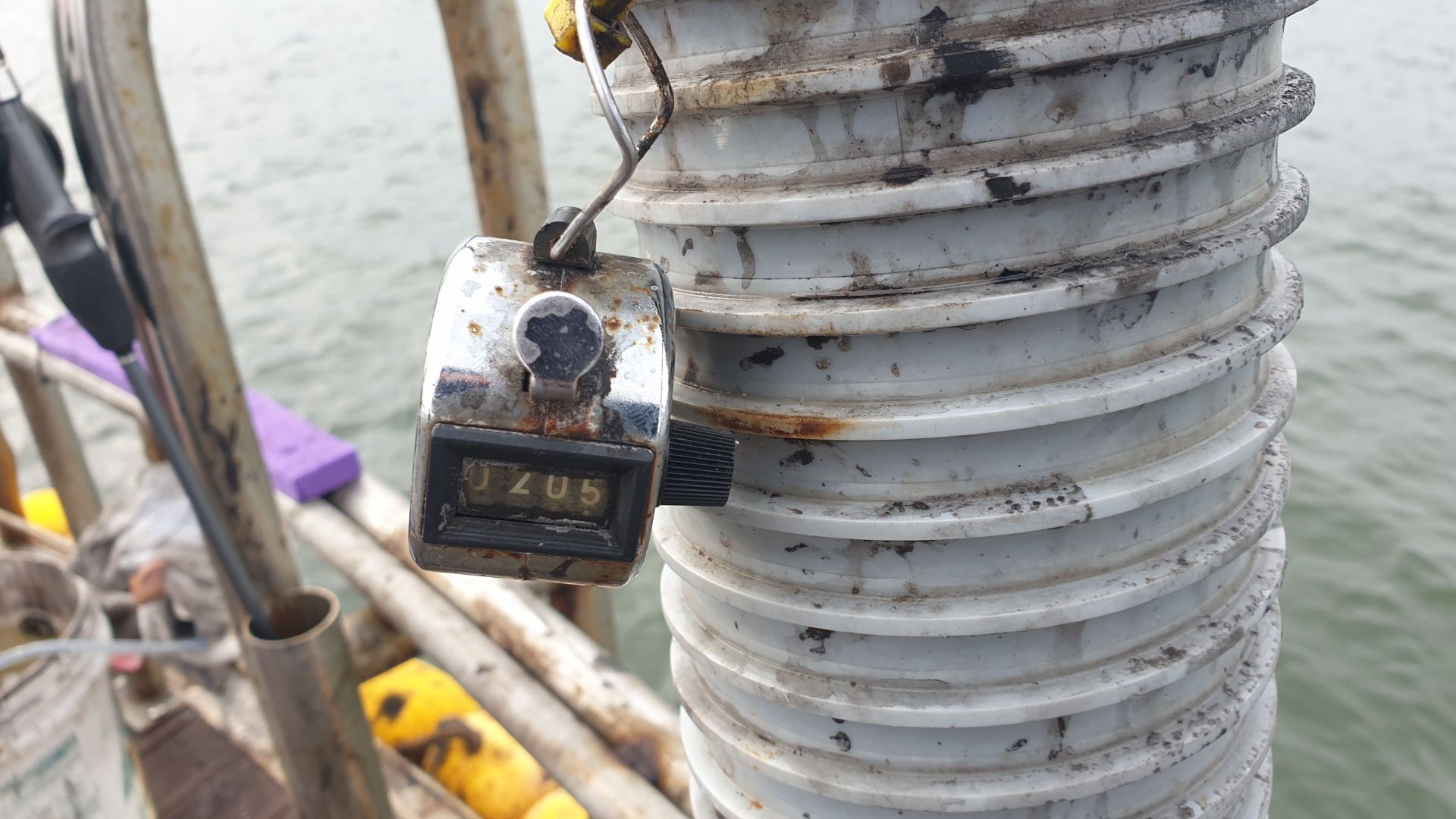 9월24일 대양호 주꾸미 조황