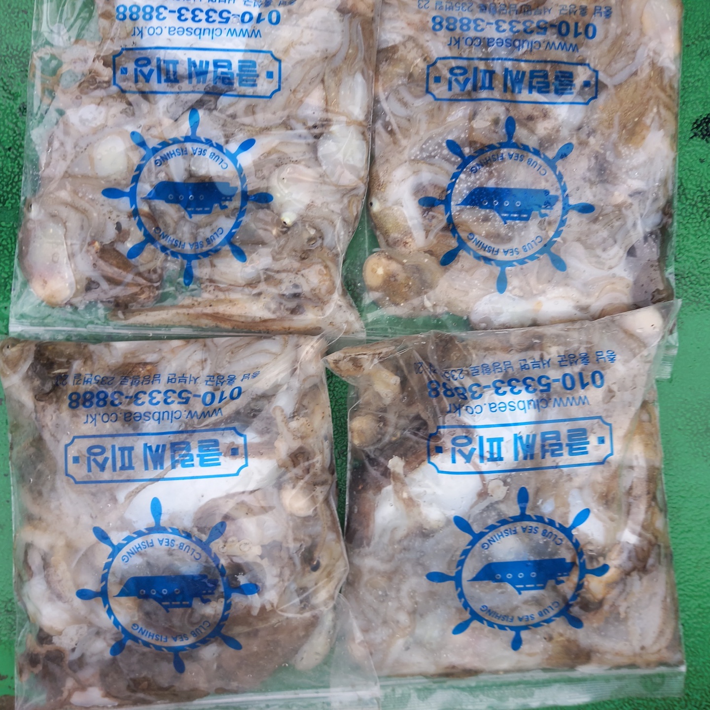 9월25일 뉴궁리호 주꾸미 조황