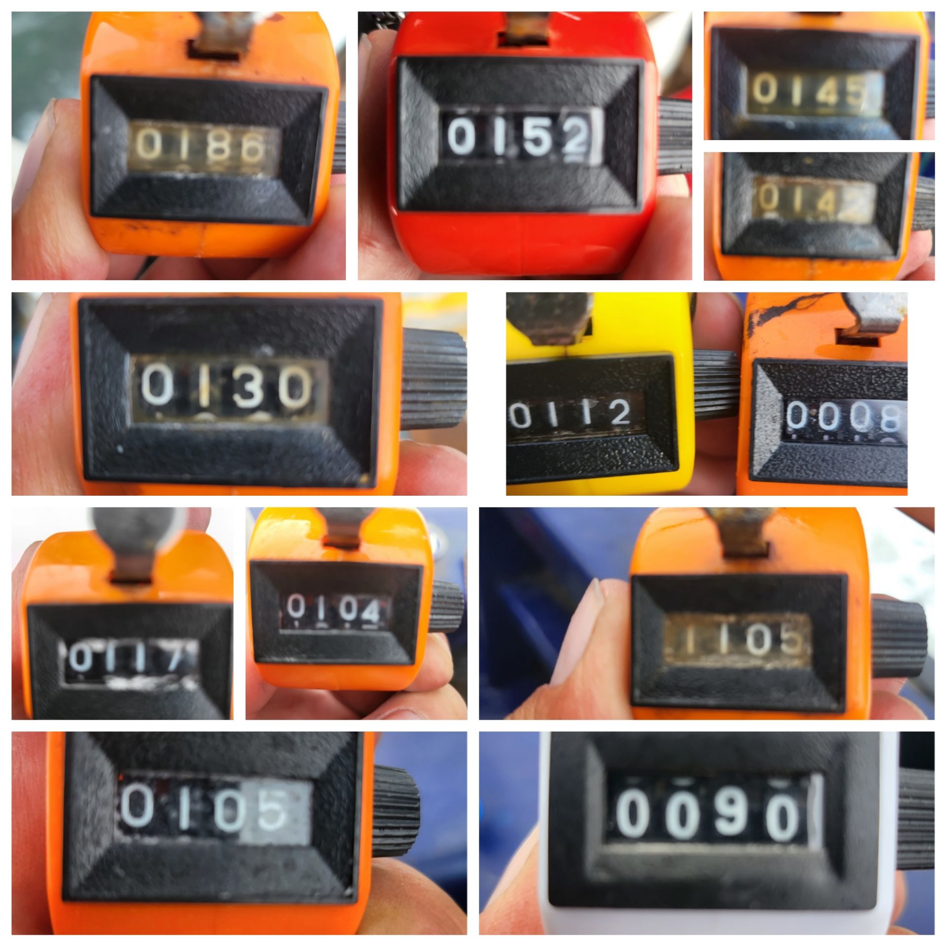 9월24일 블루원주꾸미 조황