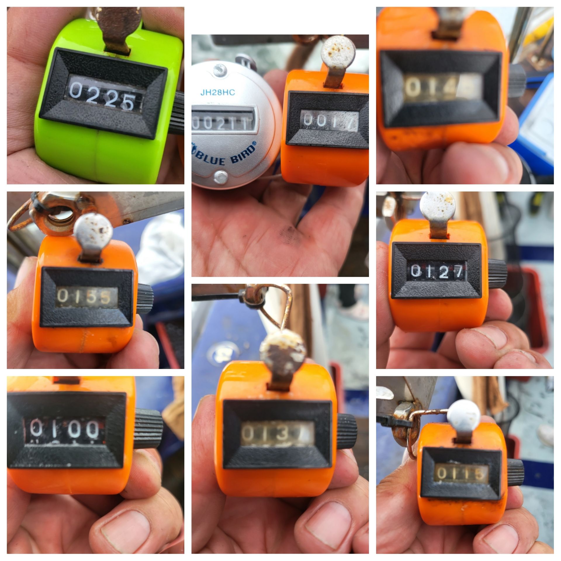 9월23일 블루원 주꾸미 조황