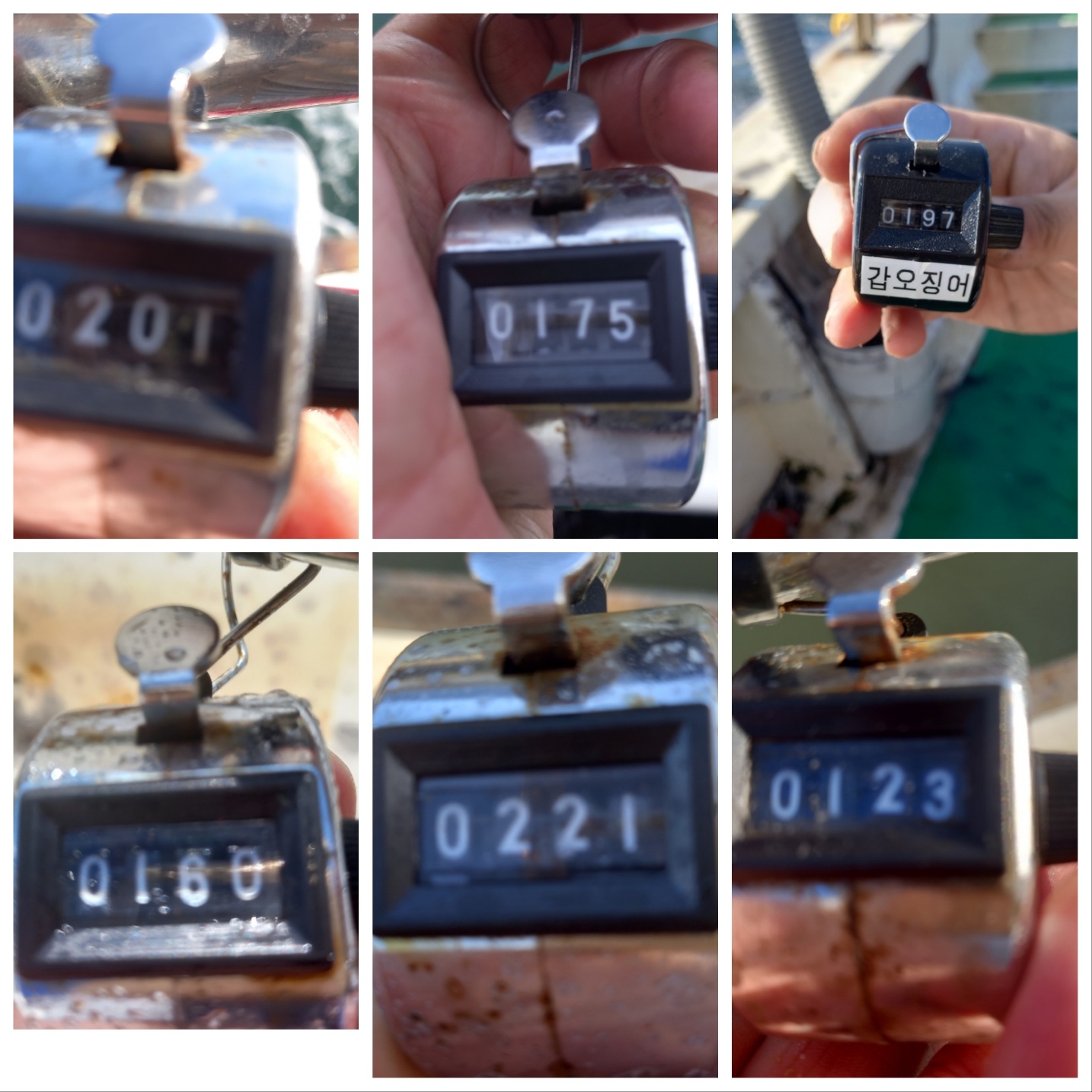 9월8일 뉴궁리호 주꾸미 조황