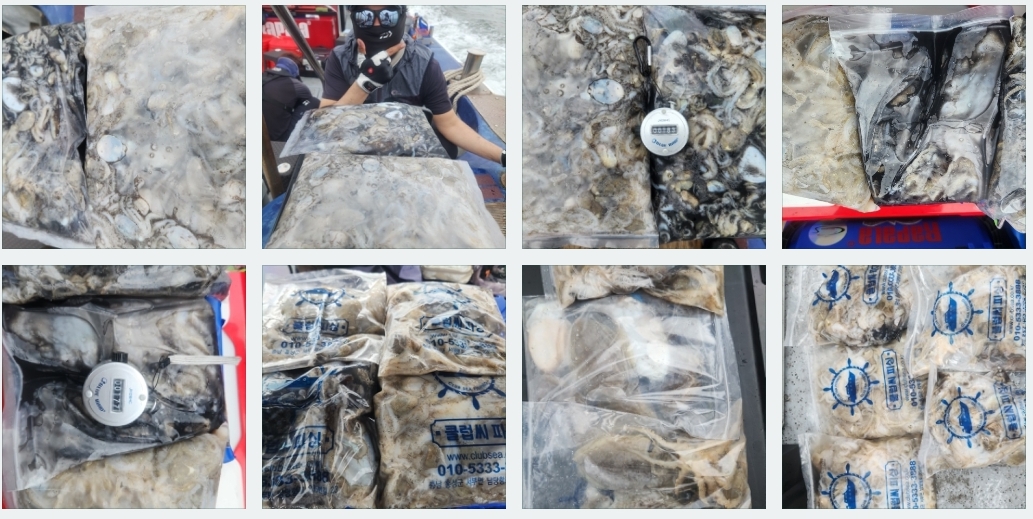 9월 4일 뉴대성호 주꾸미조황