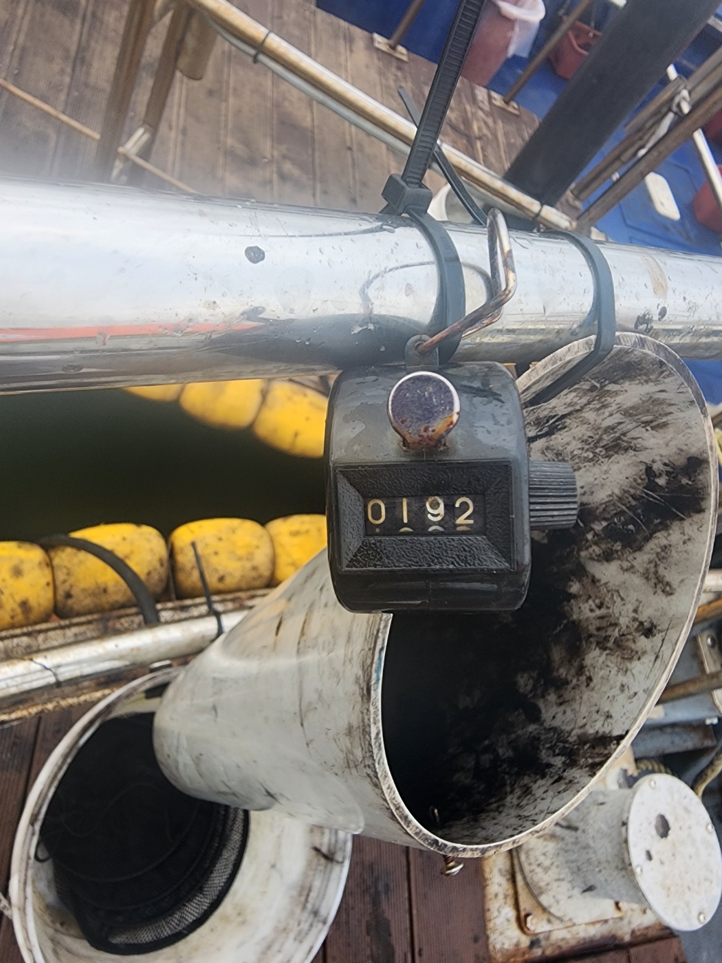 9월 27일 대성2호 쭈꾸미 조황