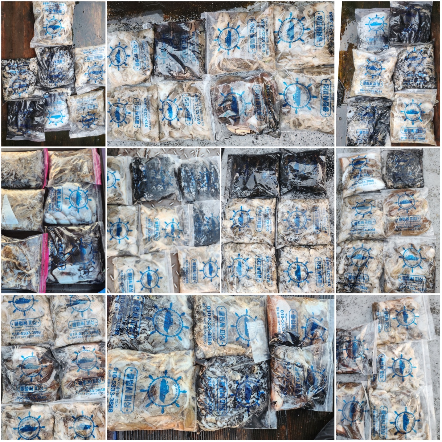 10월15일 뉴대성호 주꾸미조황